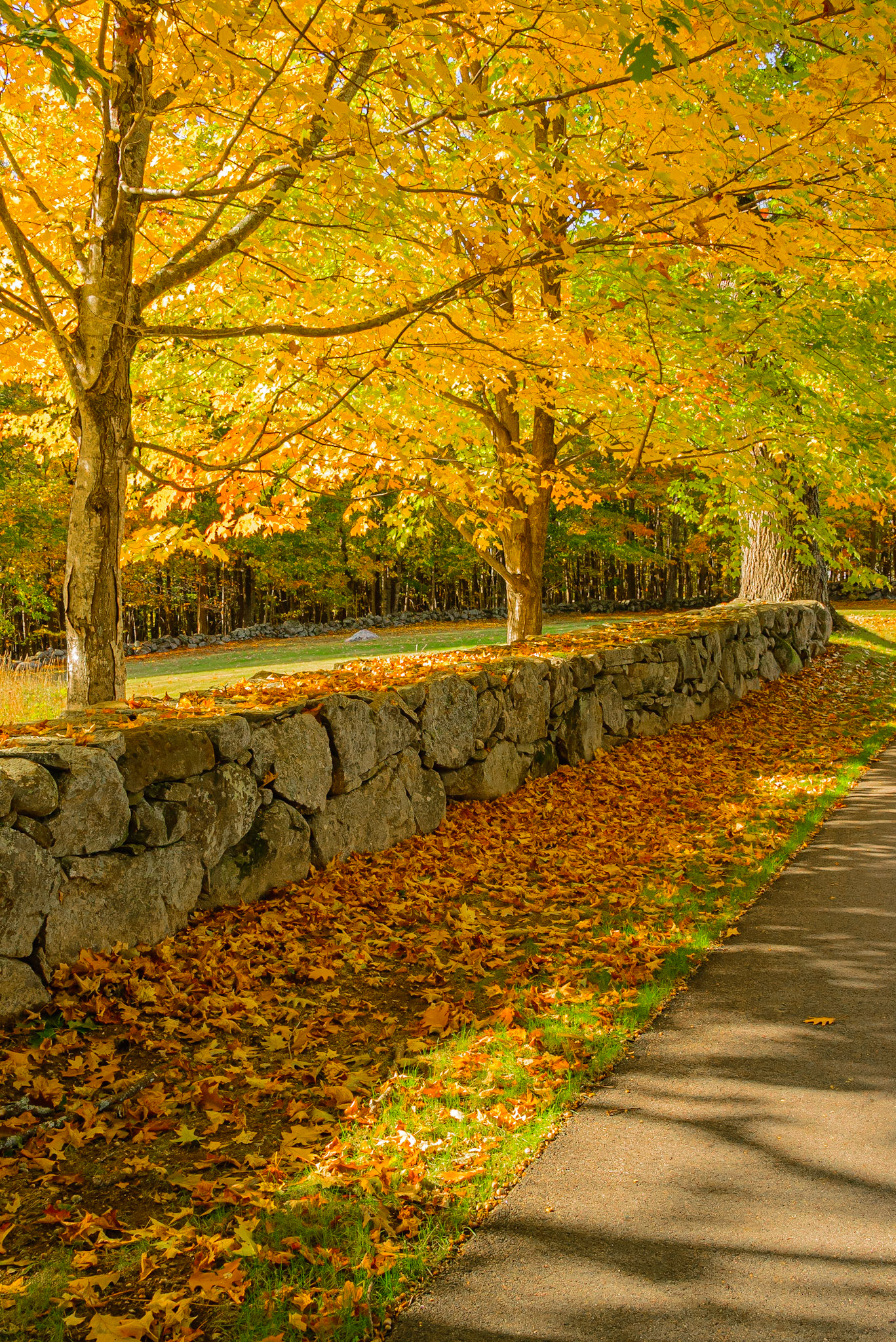 DTGD33660 Old Stone Wall