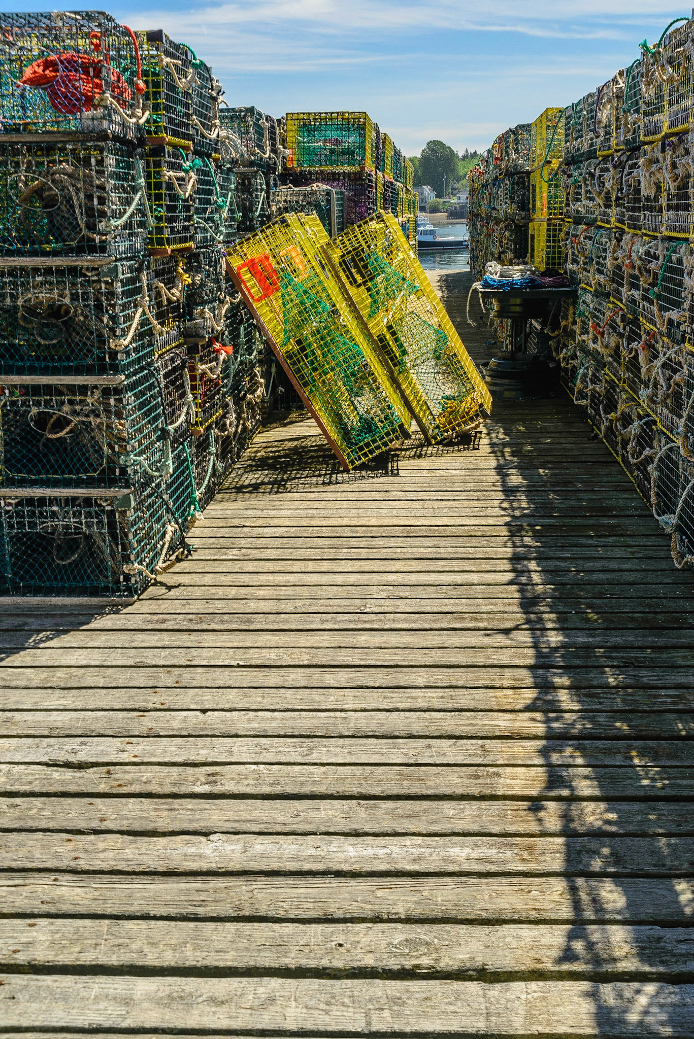 DTGD20384 Lobster Traps
