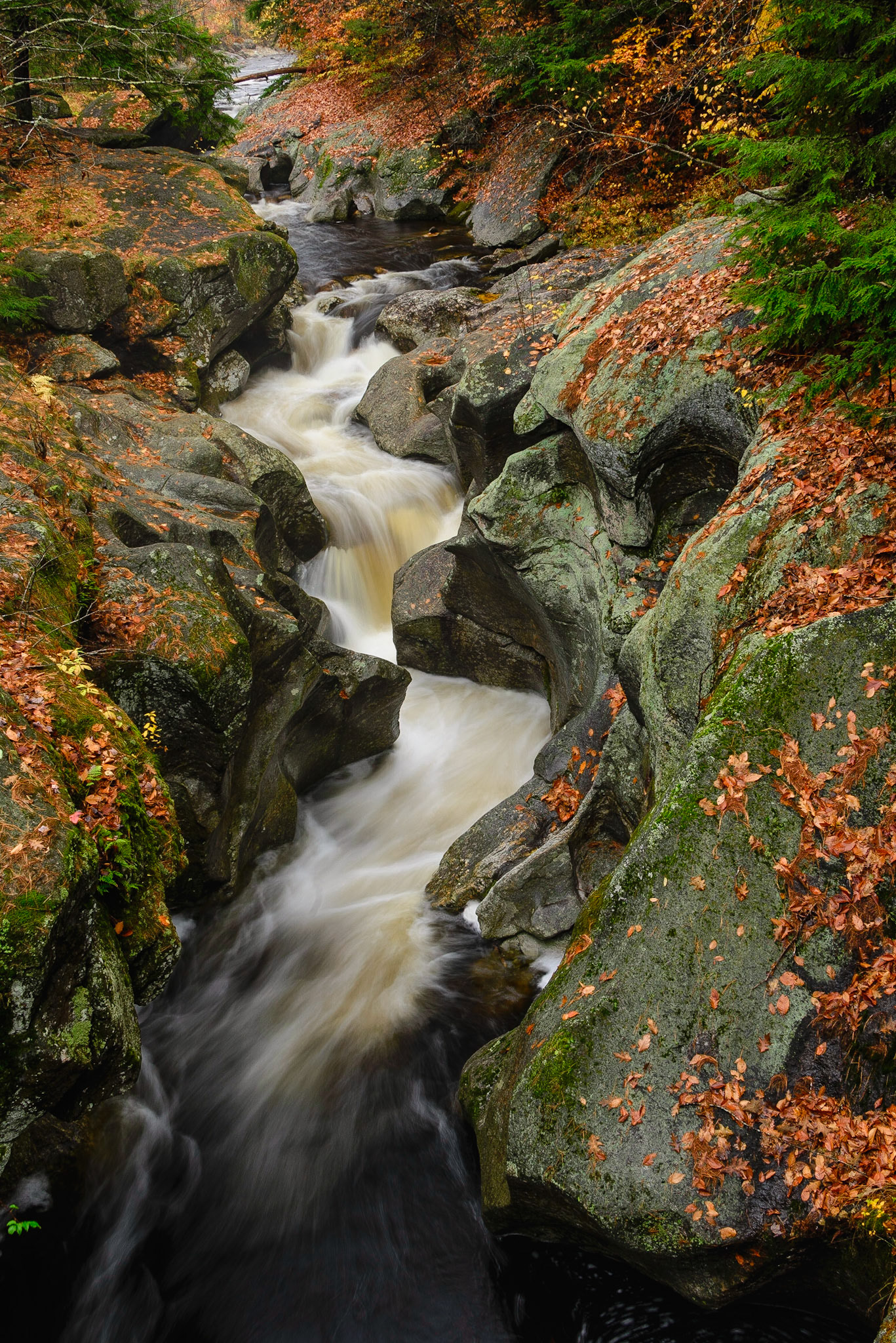 DTGD27218 Sculptured Rocks