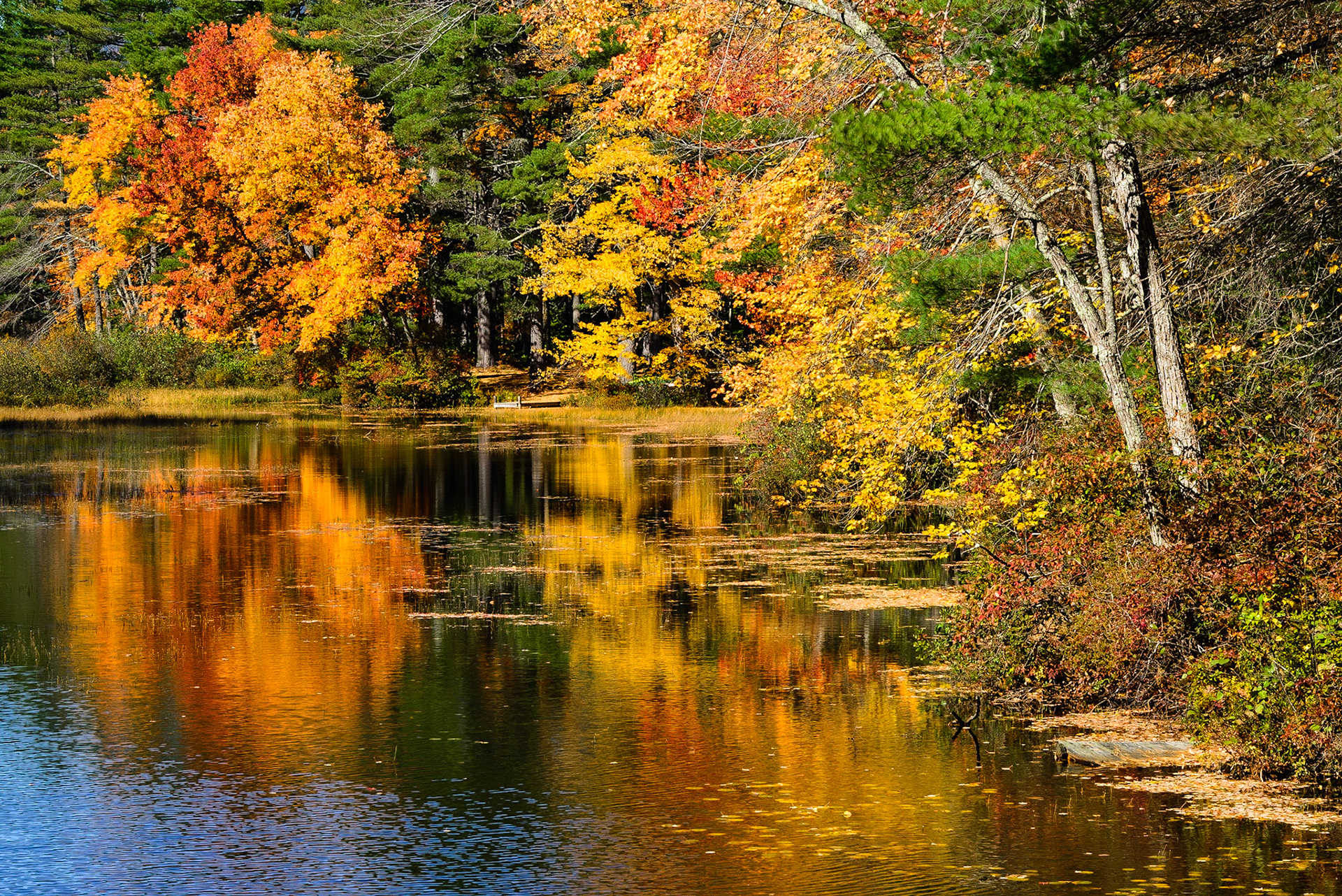 DTGD25157 Chocorua River