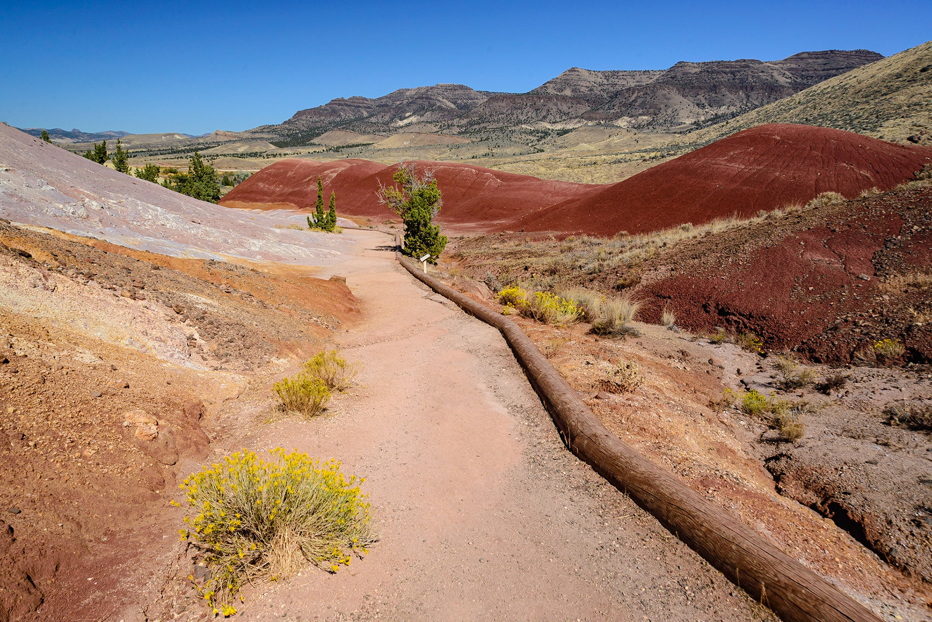 DTGD21329 The Painted Hills, Wheeler County OR.