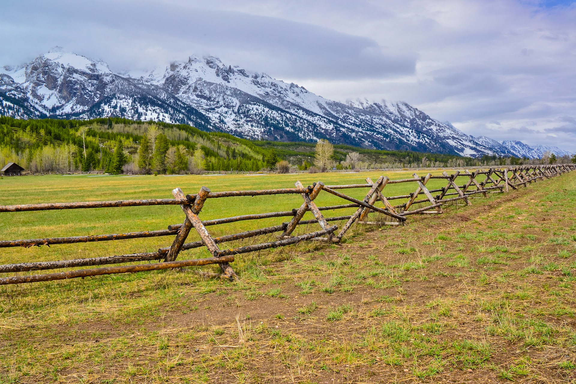 DTGD28342 Rail Fence, Tetons