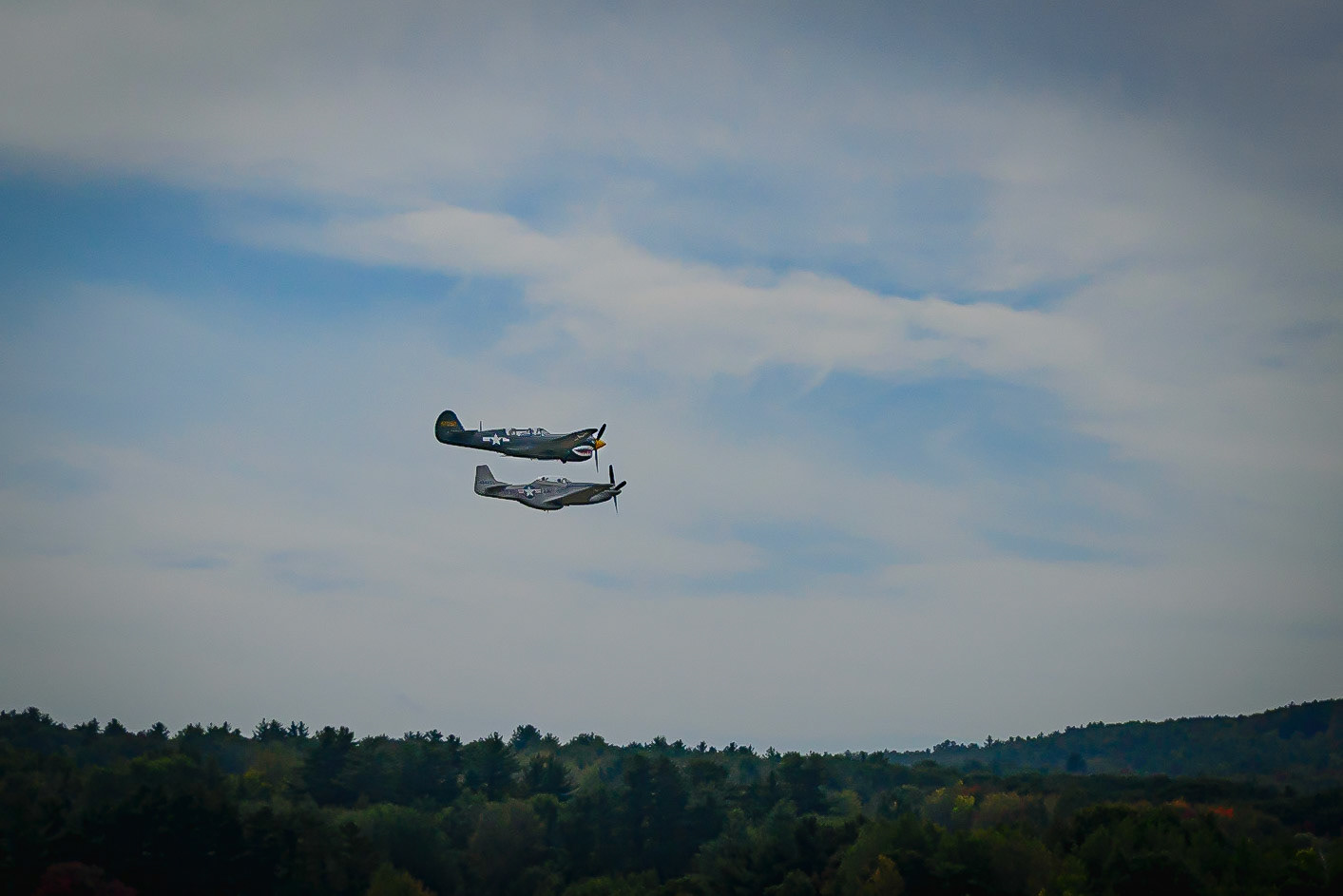 DTGD3145 Wings of Freedom, P-51 &amp; P-40N