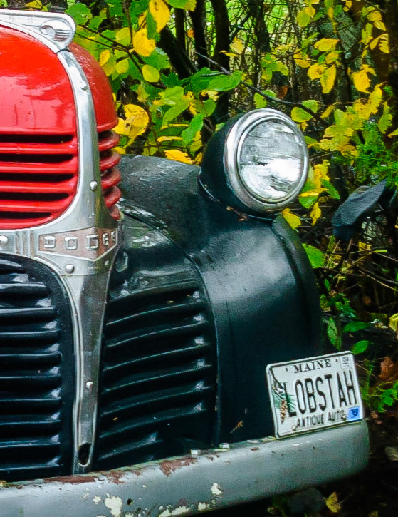DTGD13948-Old Dodge