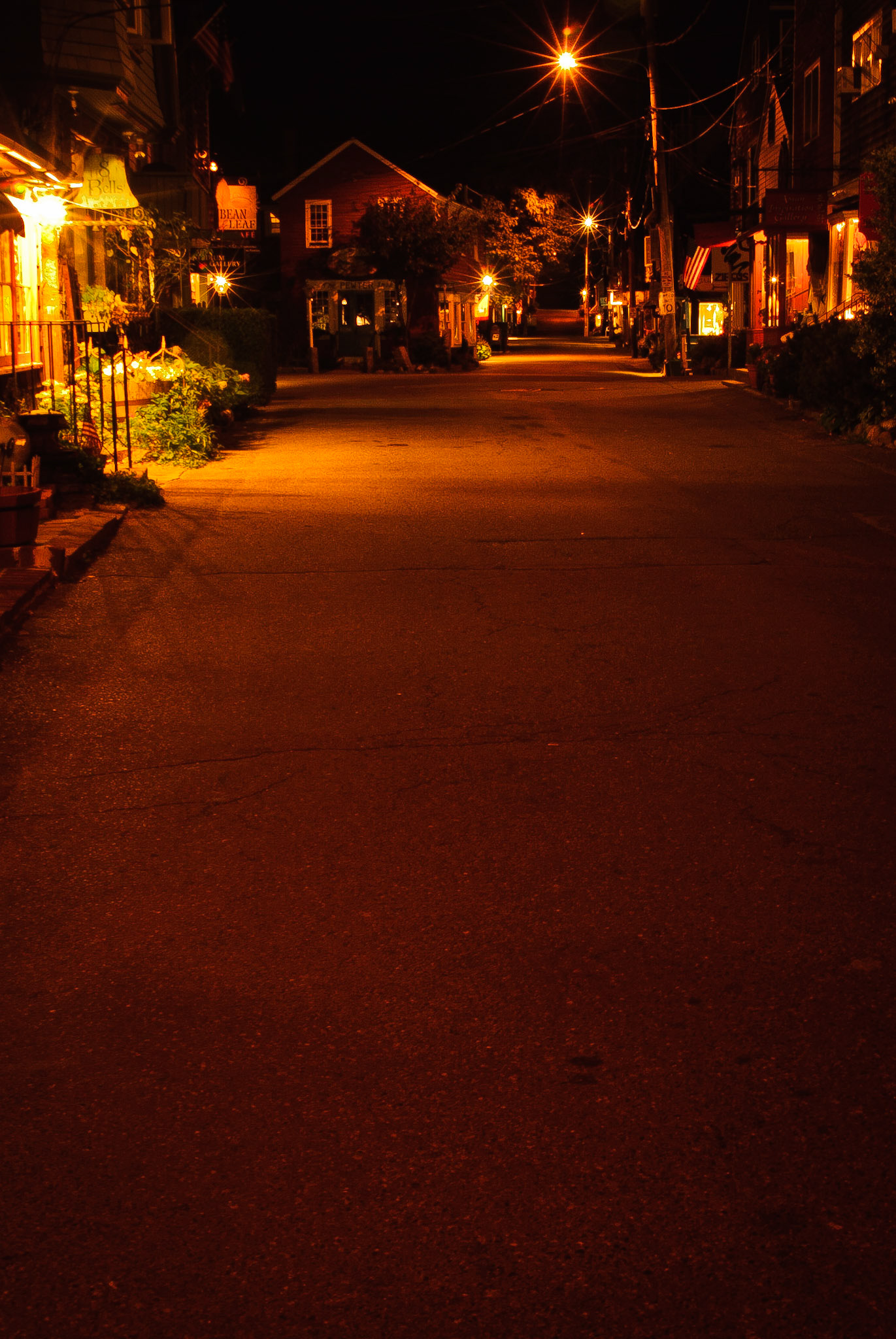 Bear Skin Neck @ Night
