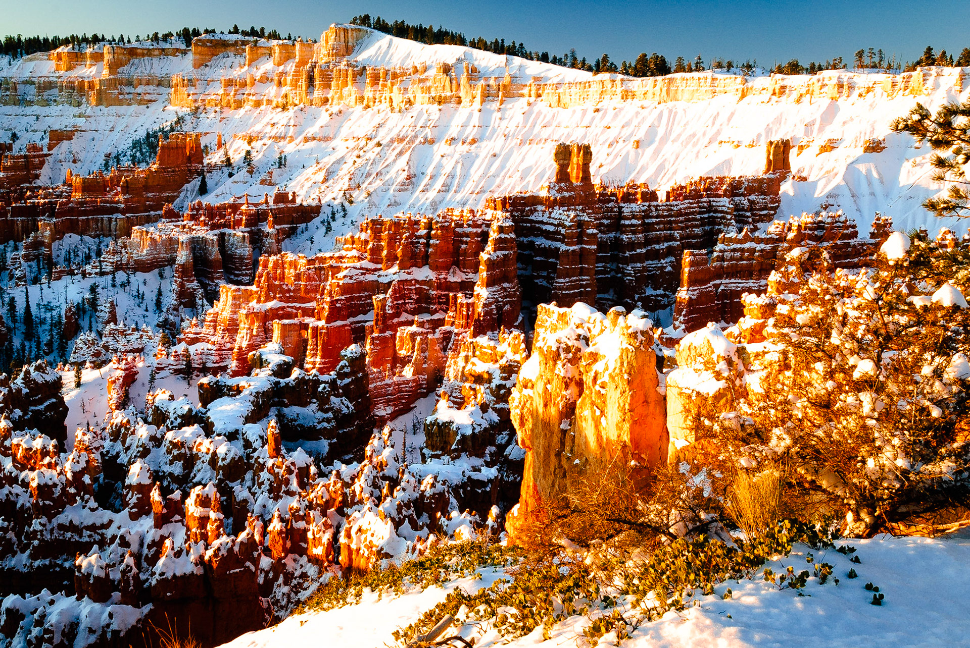 DTGD10701 Early Light, Bryce Canyon
