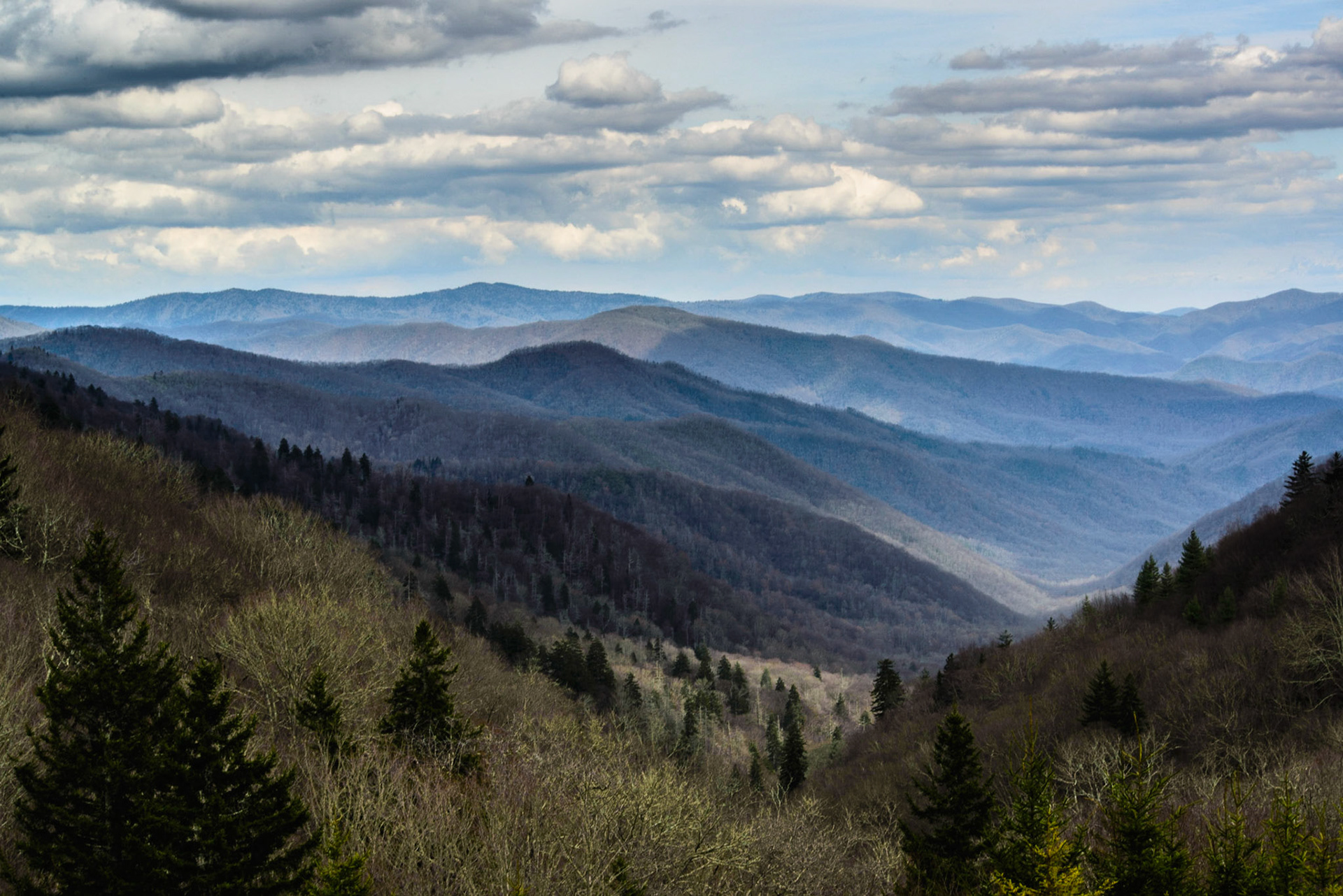 DTGD19607 Smoky Mountains