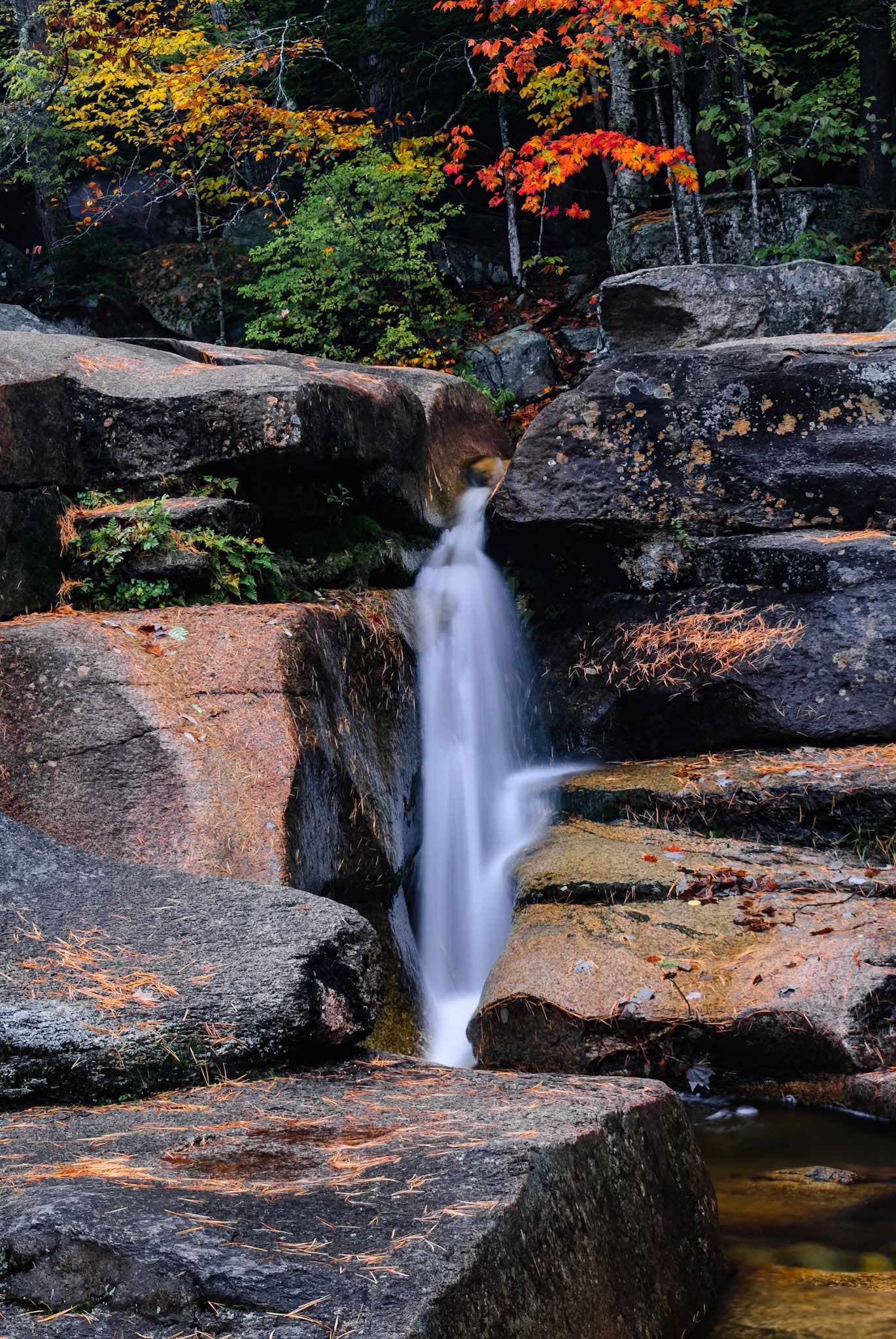DTGD00655 Diana's Baths