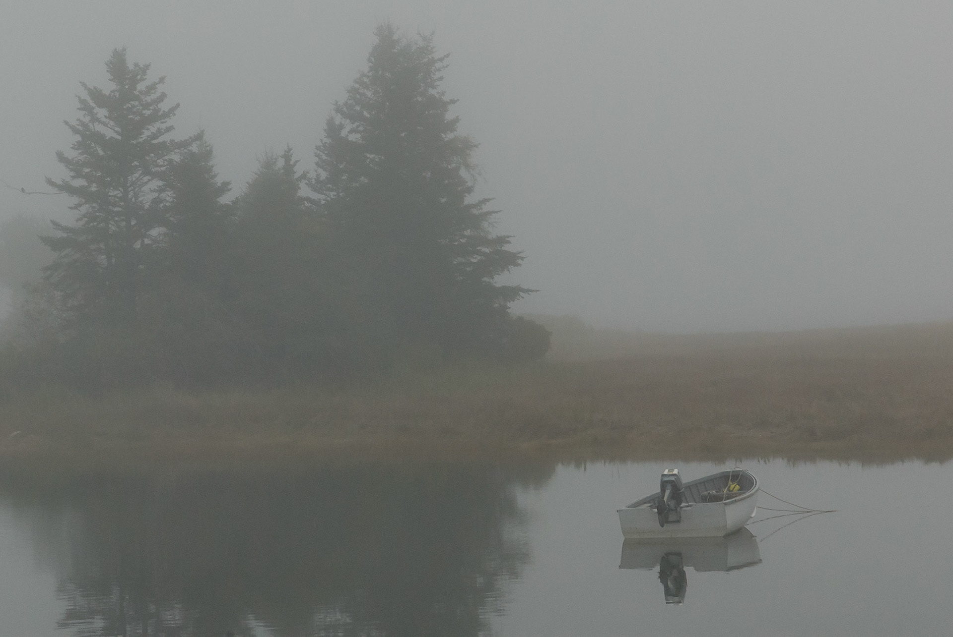 DTGD00475 Foggy Morning