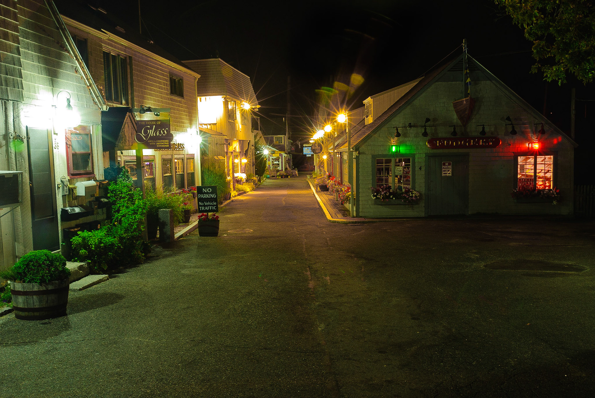 DTGD12391 Bear Skin Neck @ Night