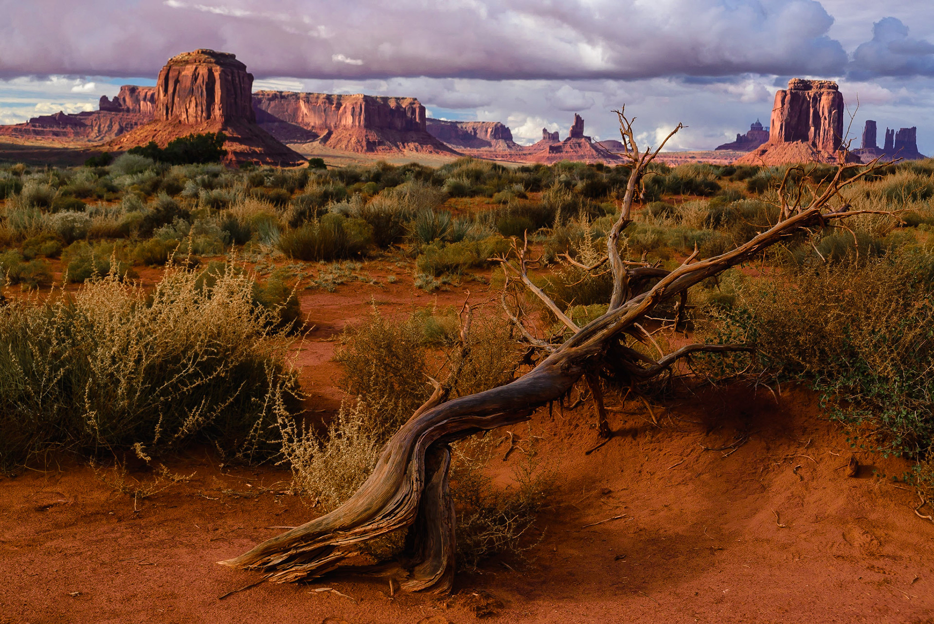 DTGD22773 Late afternoon sun, North Arizona