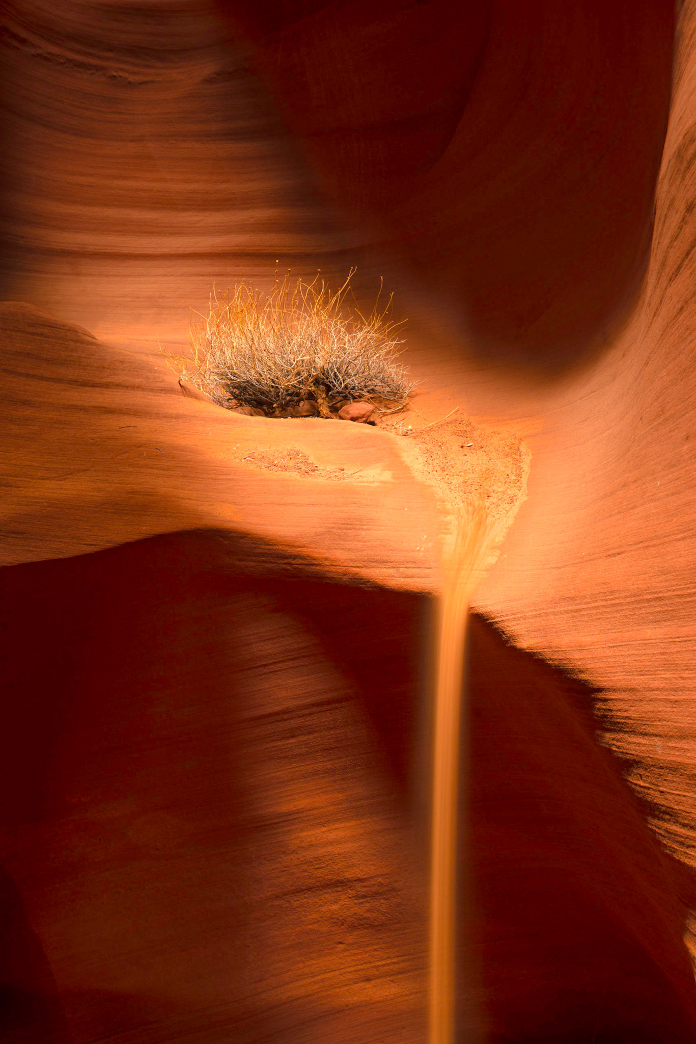 DTGD22636 Secret Canyon