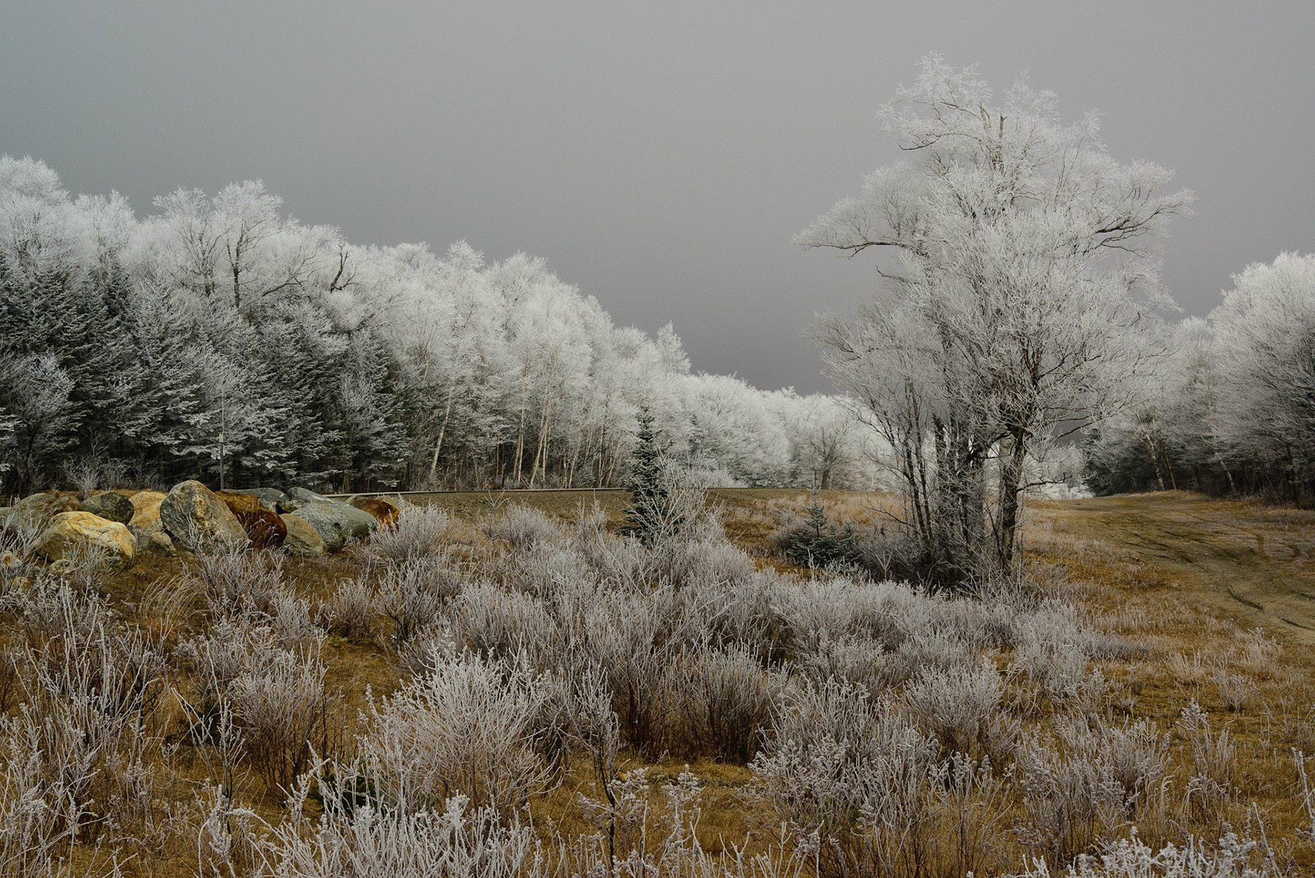 DTGD23488 Rhime Ice, Pinkham Notch