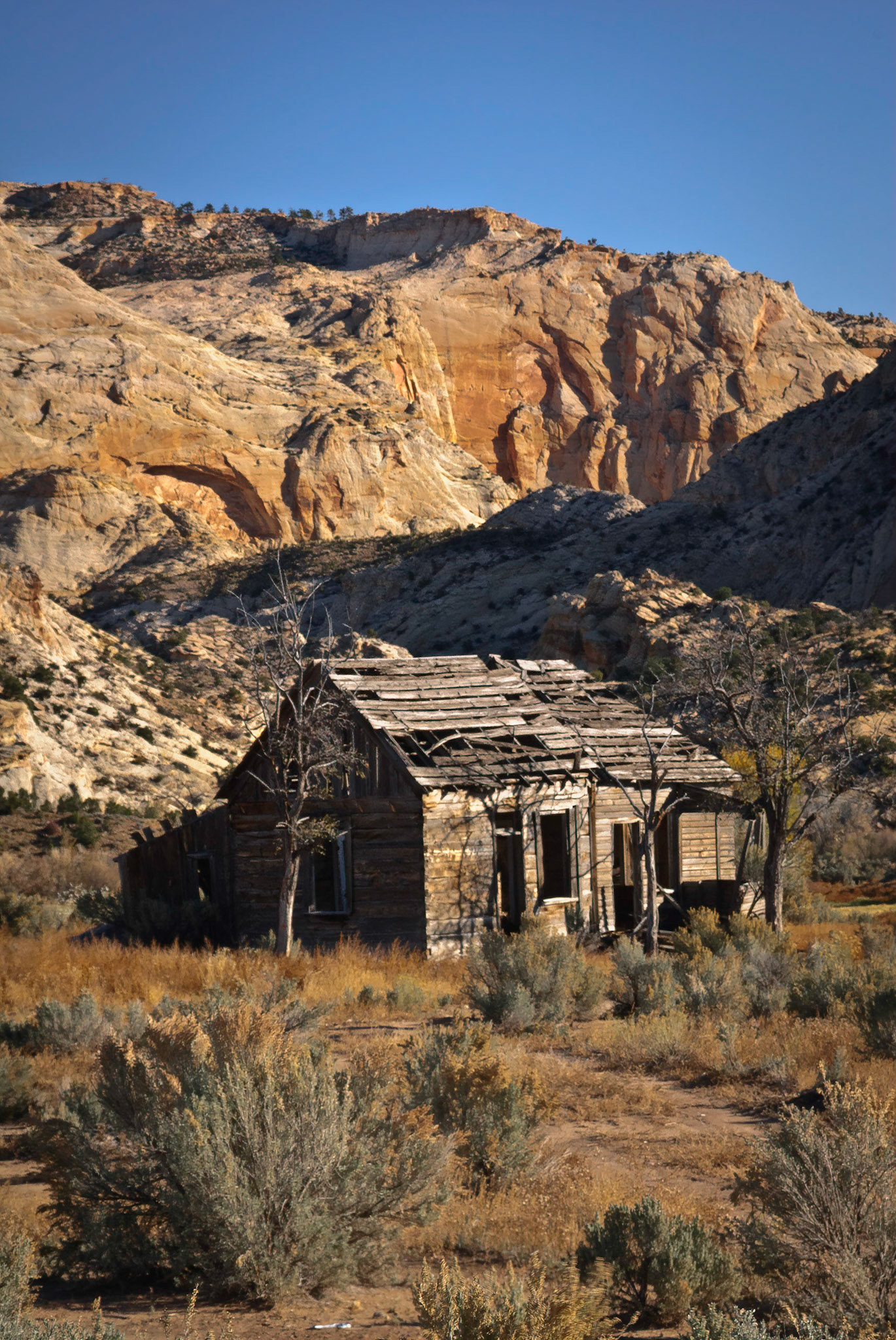 DTGD10123 Abandon Cabin, Escalante, UT
