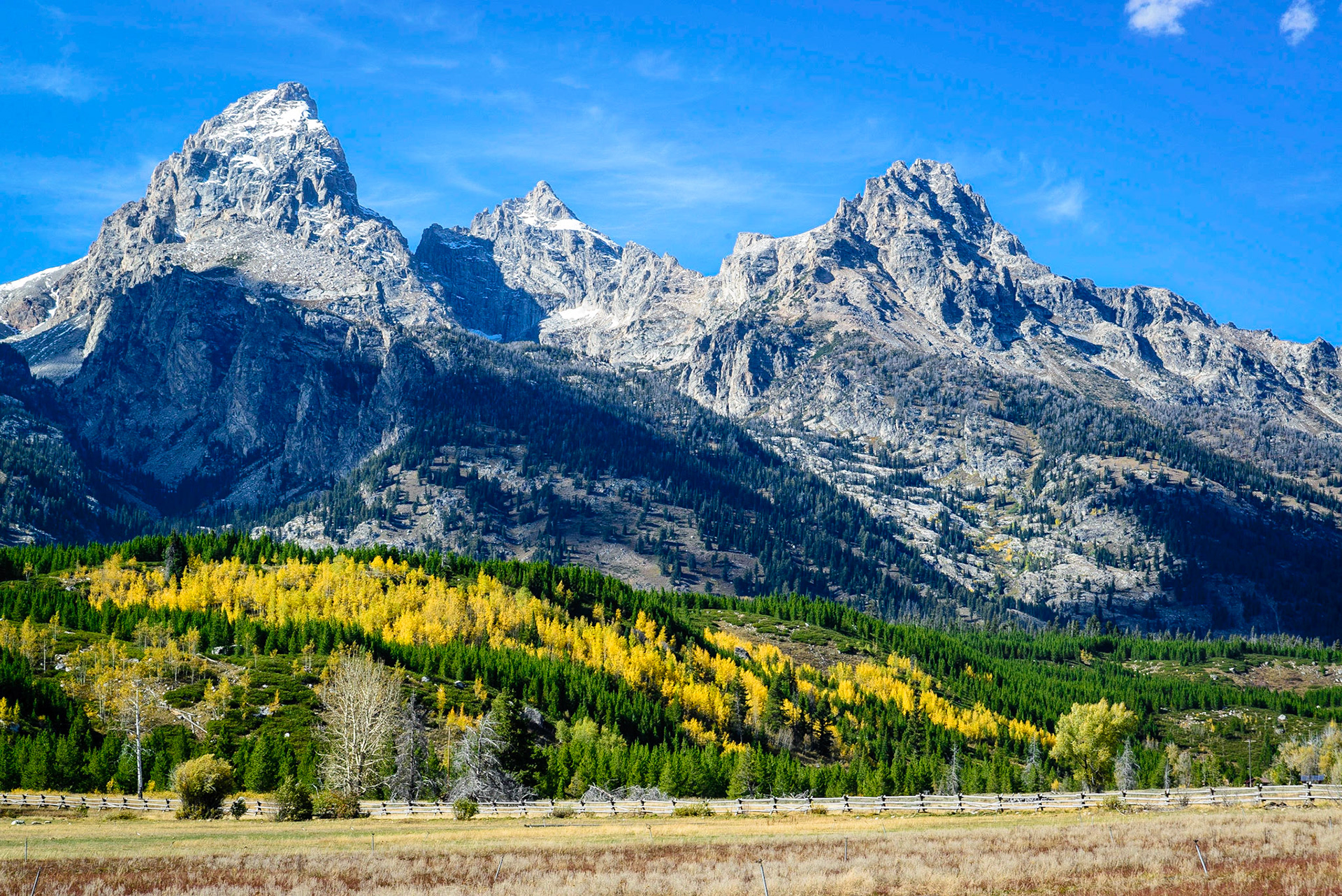 DTGD21134 Fall Color in the Foothills