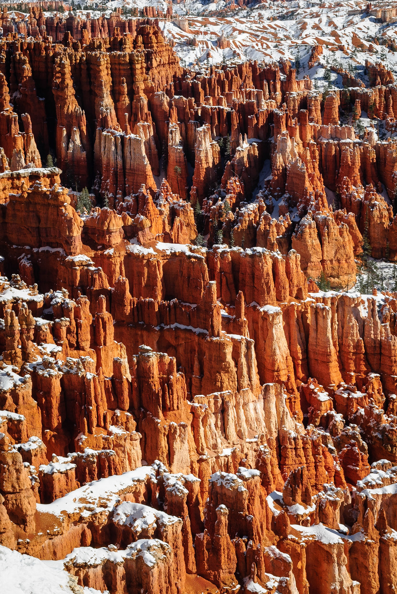DTGD10749 Bryce in winter