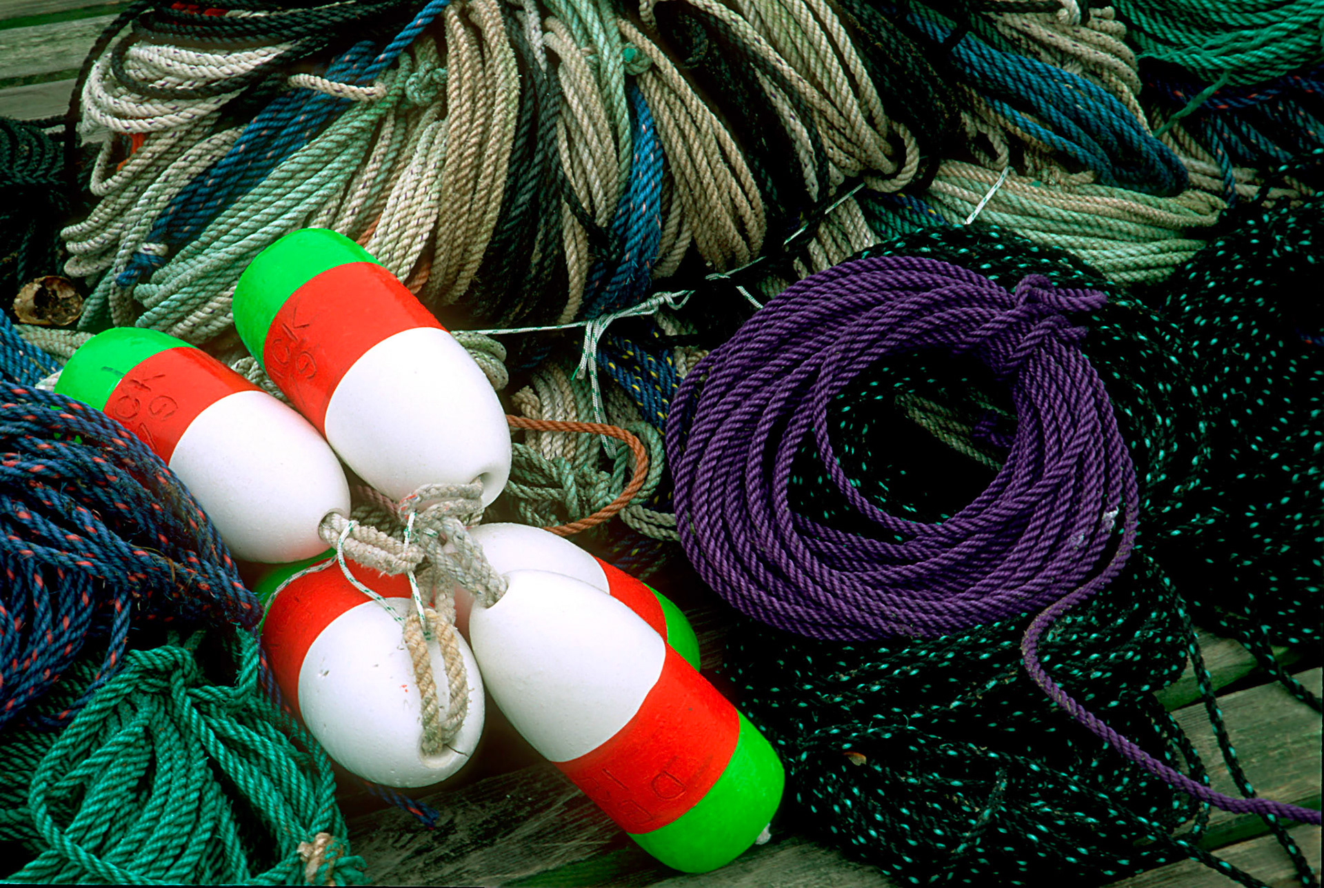 DTG00074 Lobster Men's Ropes 4