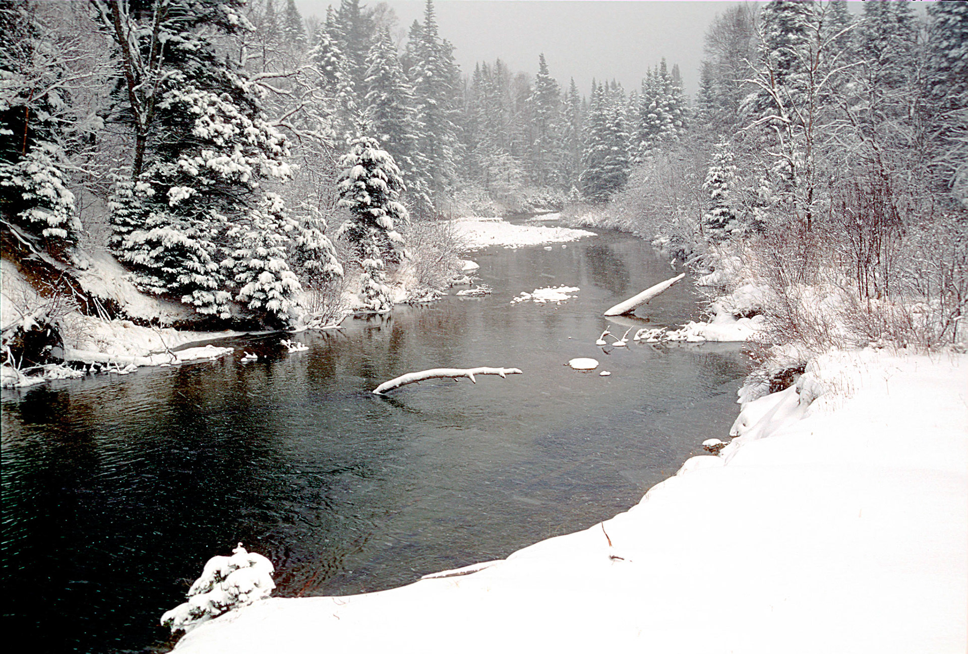 DTG00017 Brook at Bretton Woods