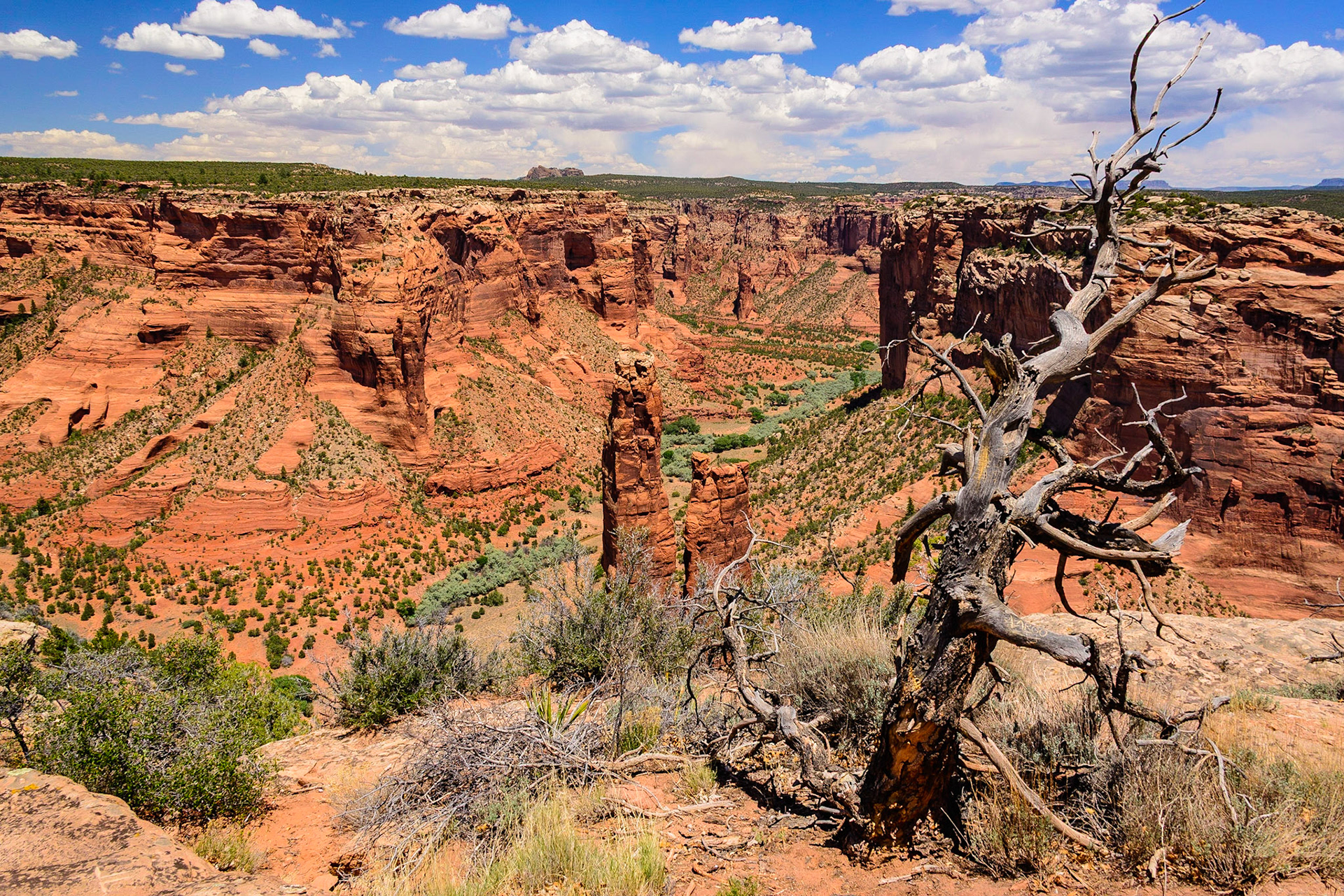 DTGD28937 Canyon de Chelly