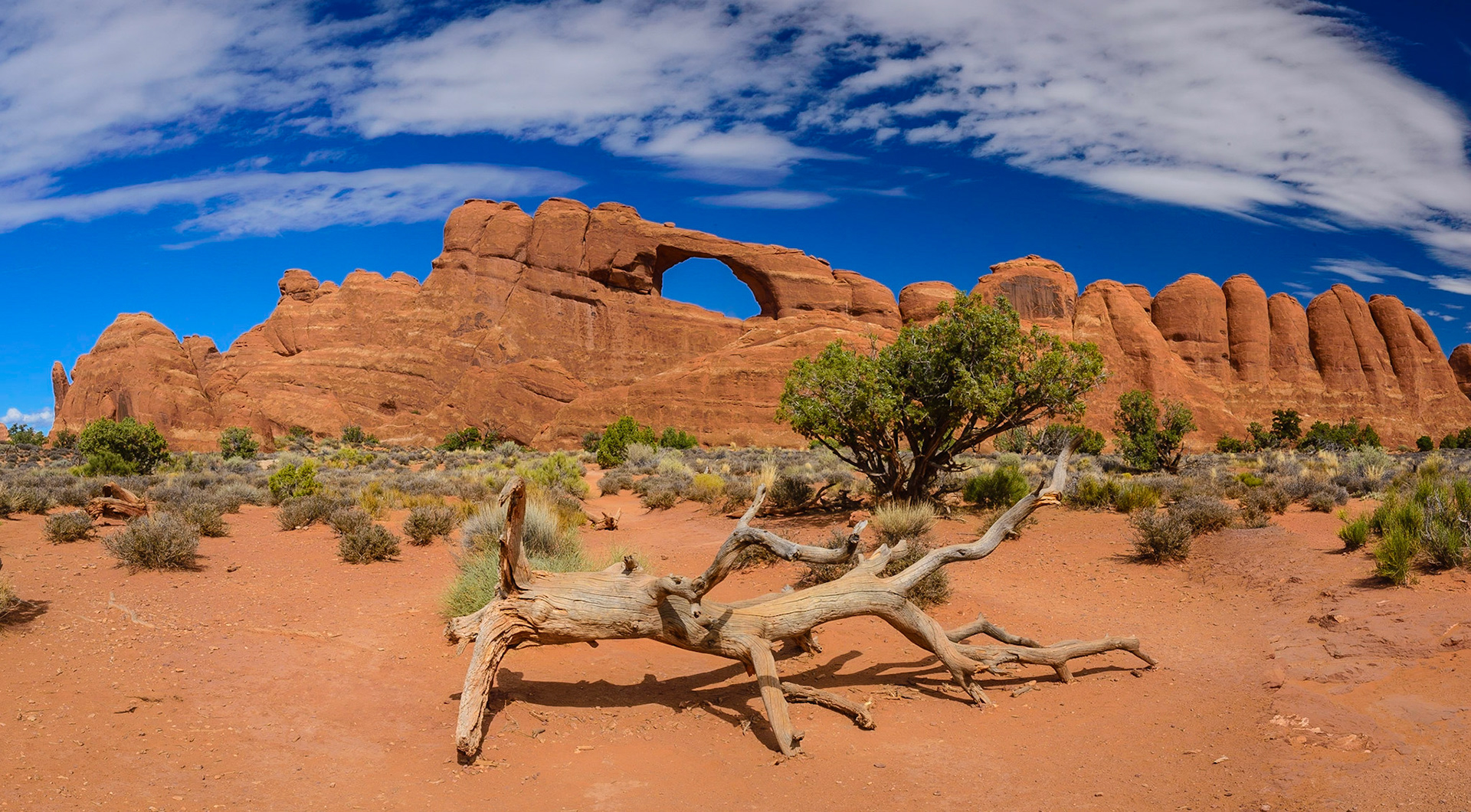 DTGD21570 Skyline Arch