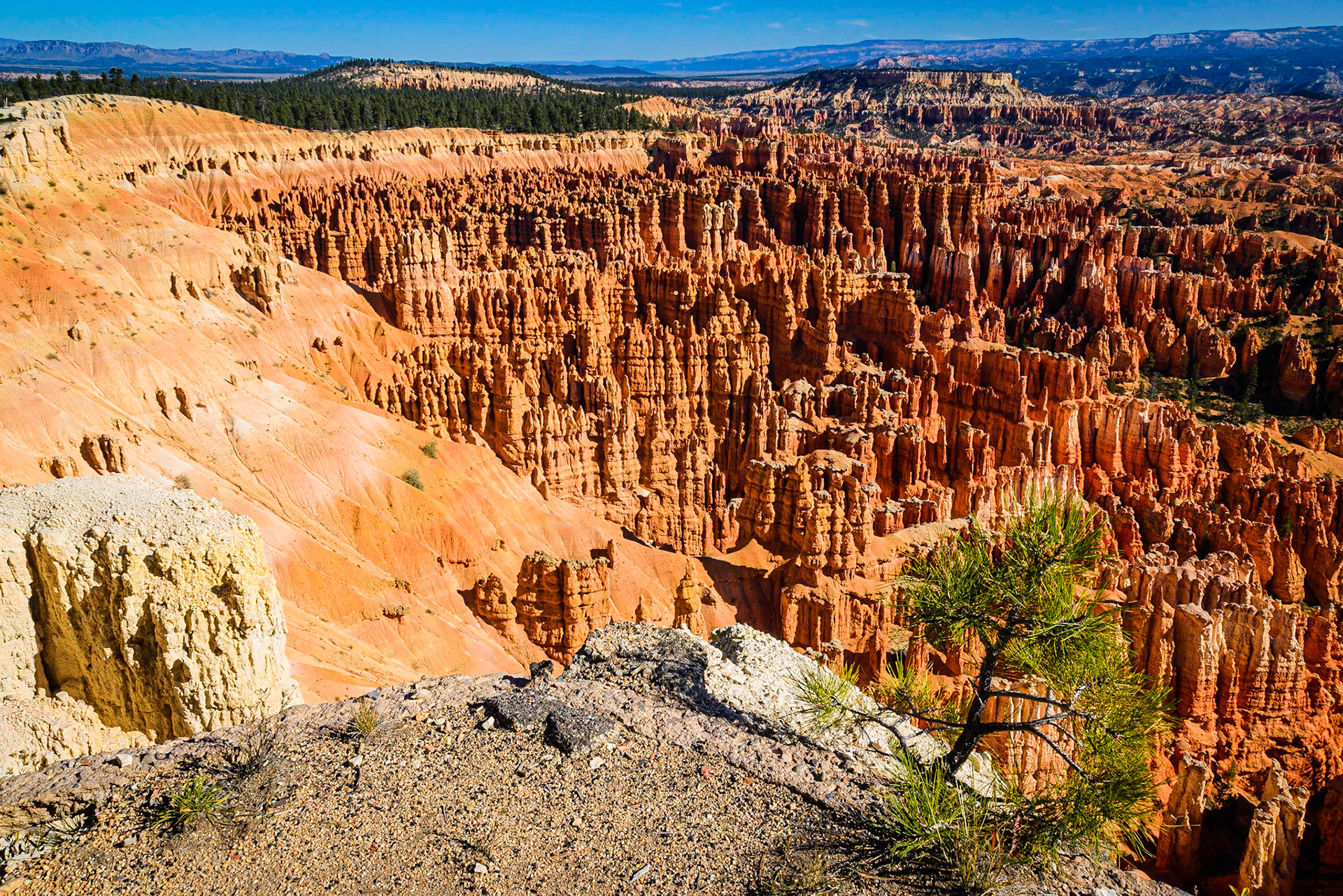 DTGD22201 Bryce, Morning Light