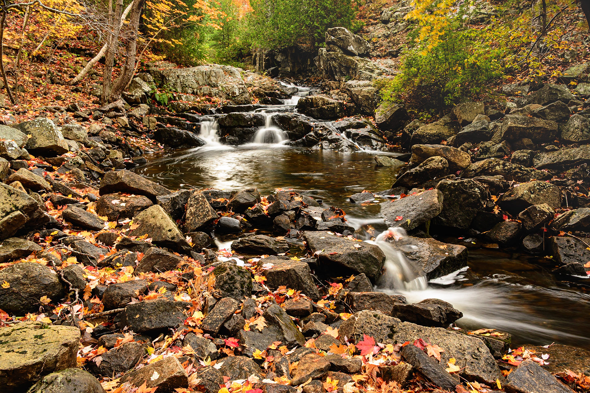 DTGD33839 Duck Brook, Acadia, ME