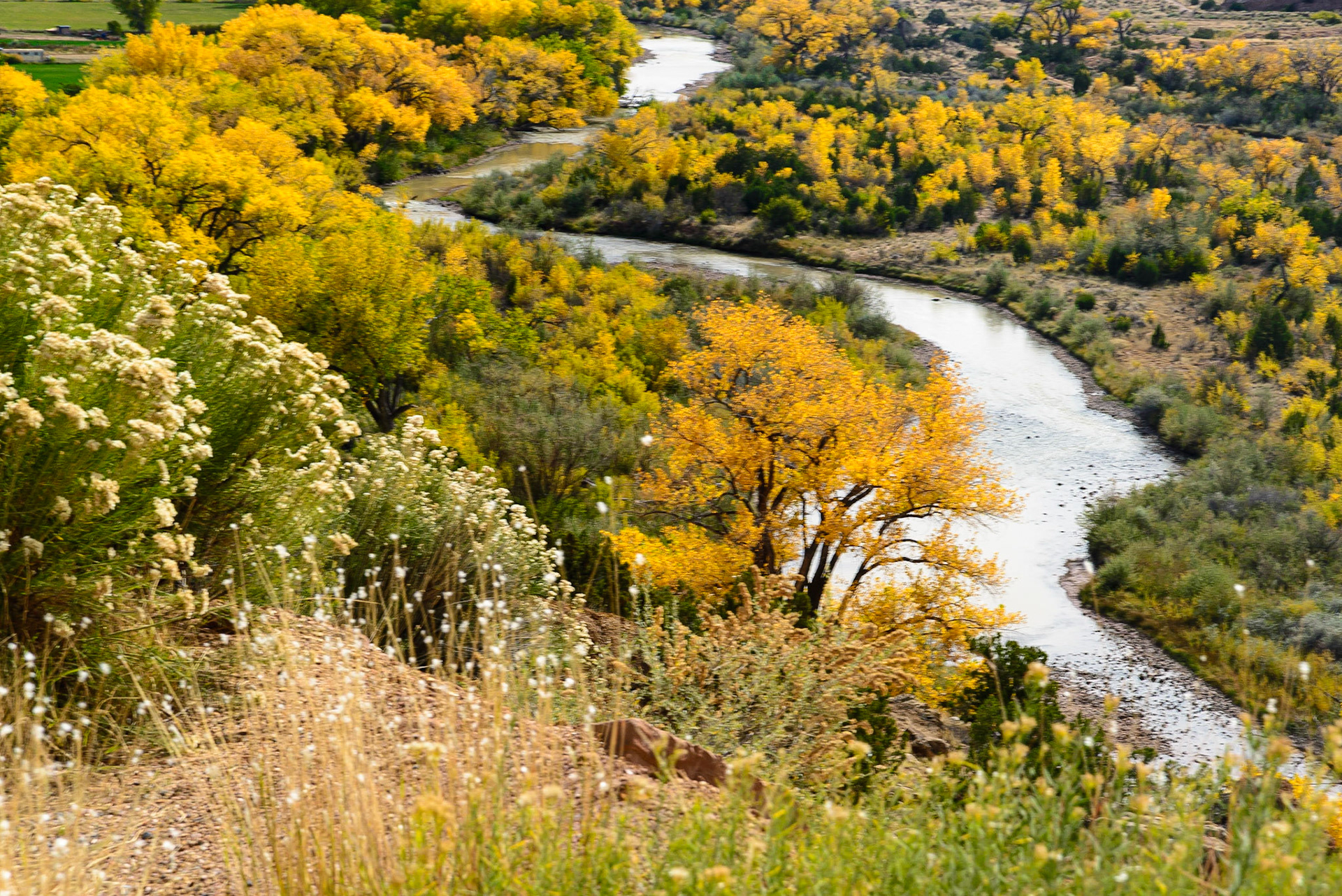 DTGD23244 Rio Chama River