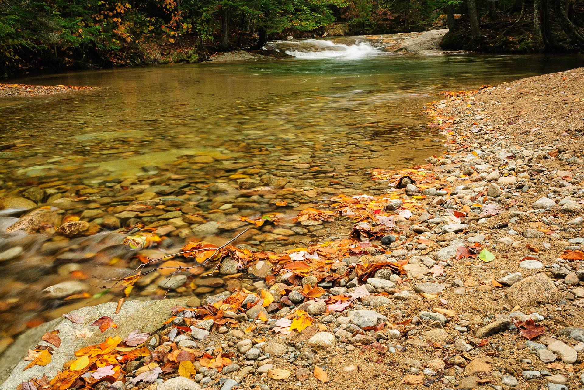 DTGD08202 Pemigewasset River  @ The Basin