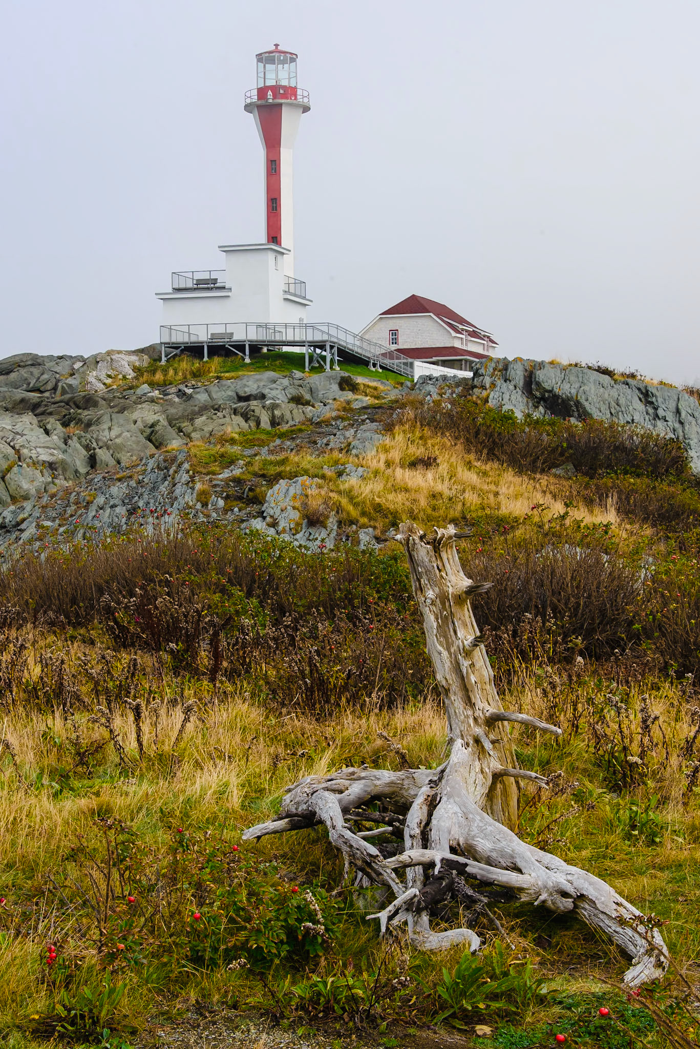 DTGD38996-Cape Forchu Lighthouse