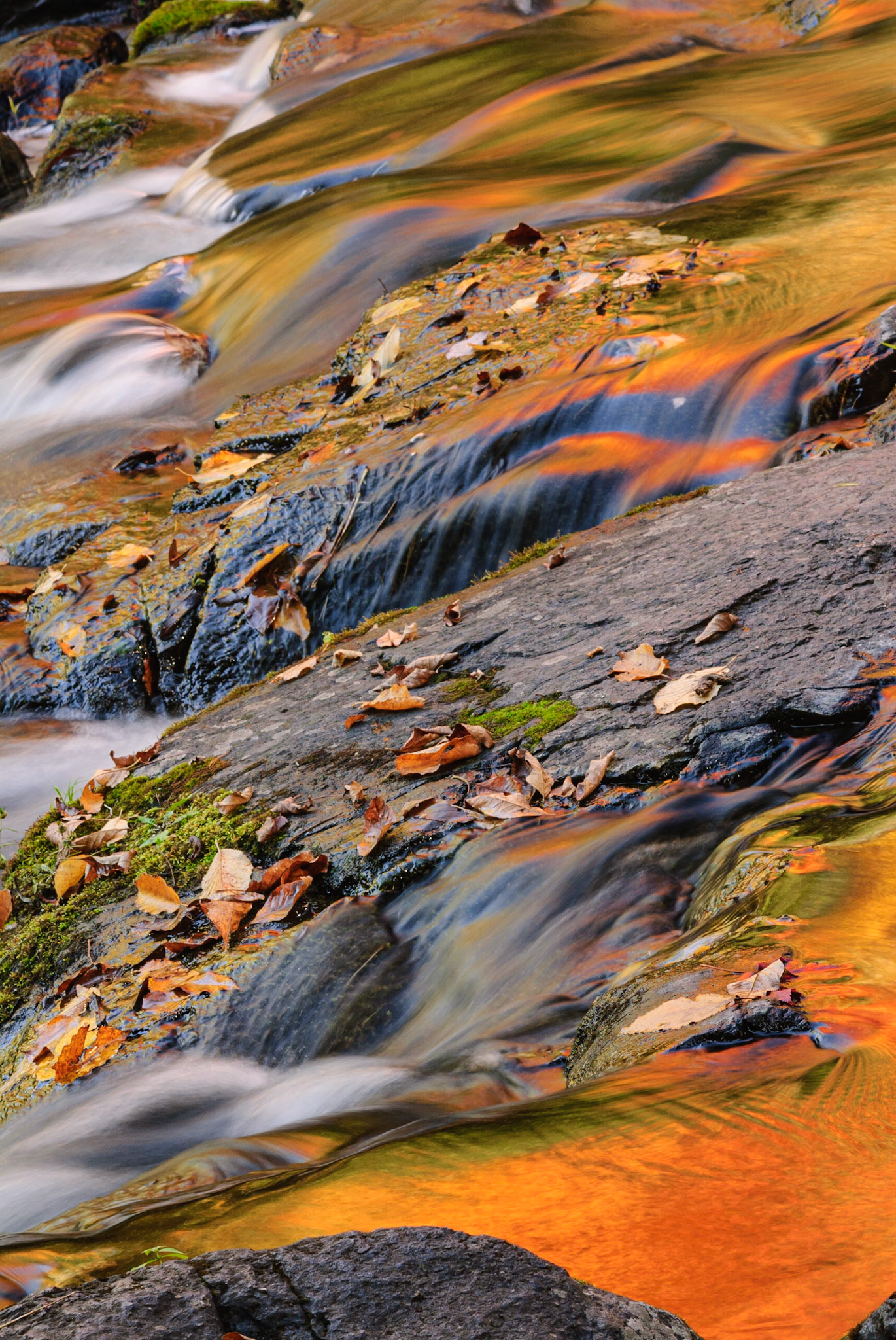 DTGD12718 Bond Falls, Fall Reflections