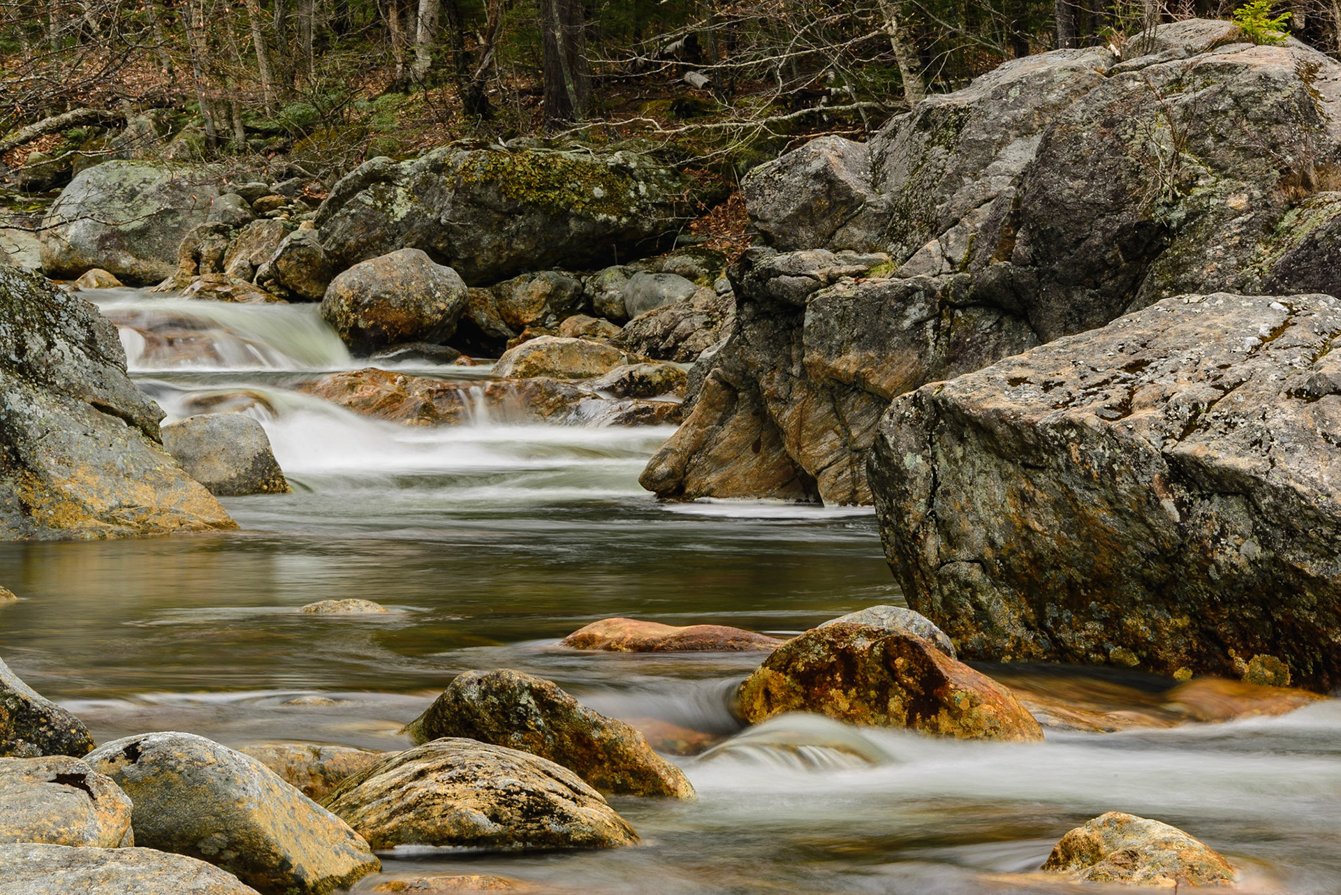 DTGD24019 Ellis River, spring