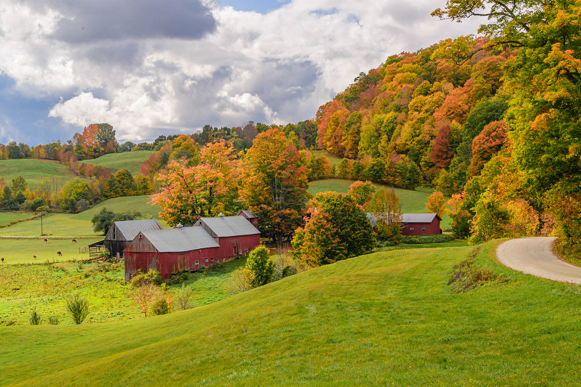 DTGD33646 Vermont Farm Buildings