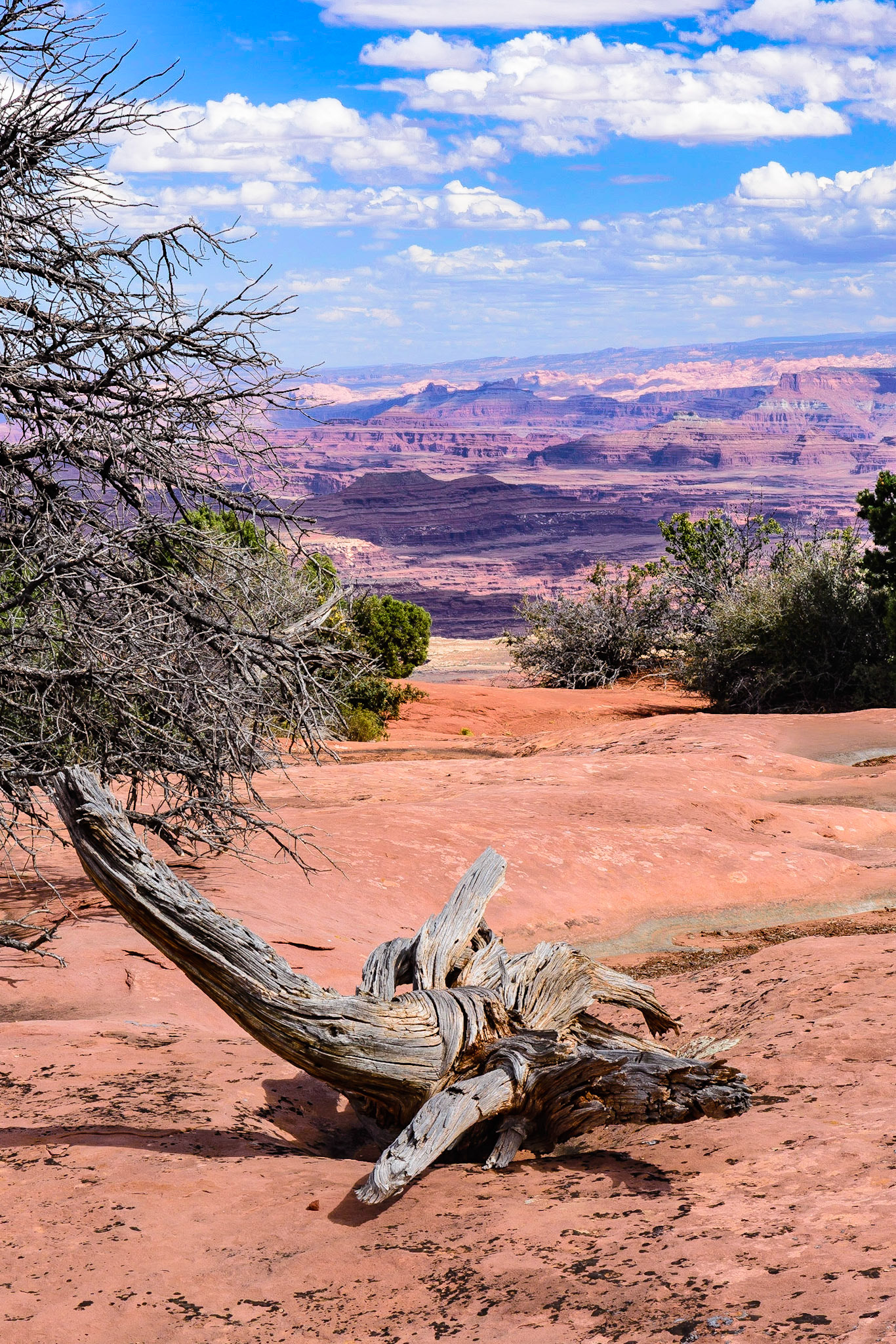 DTGD21745 Canyonlands Nat'l Park