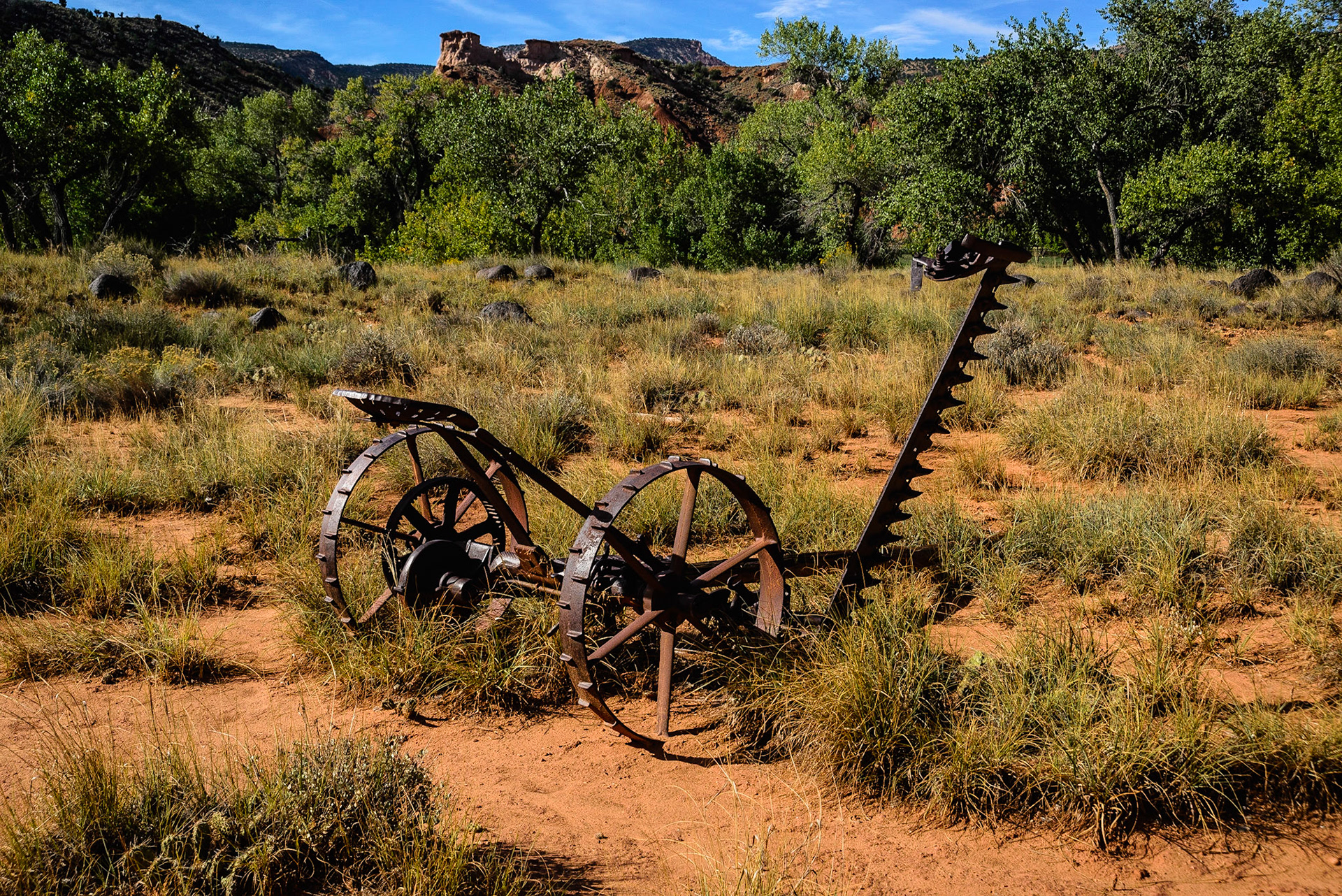 DTGD21932-Early Hay Mower
