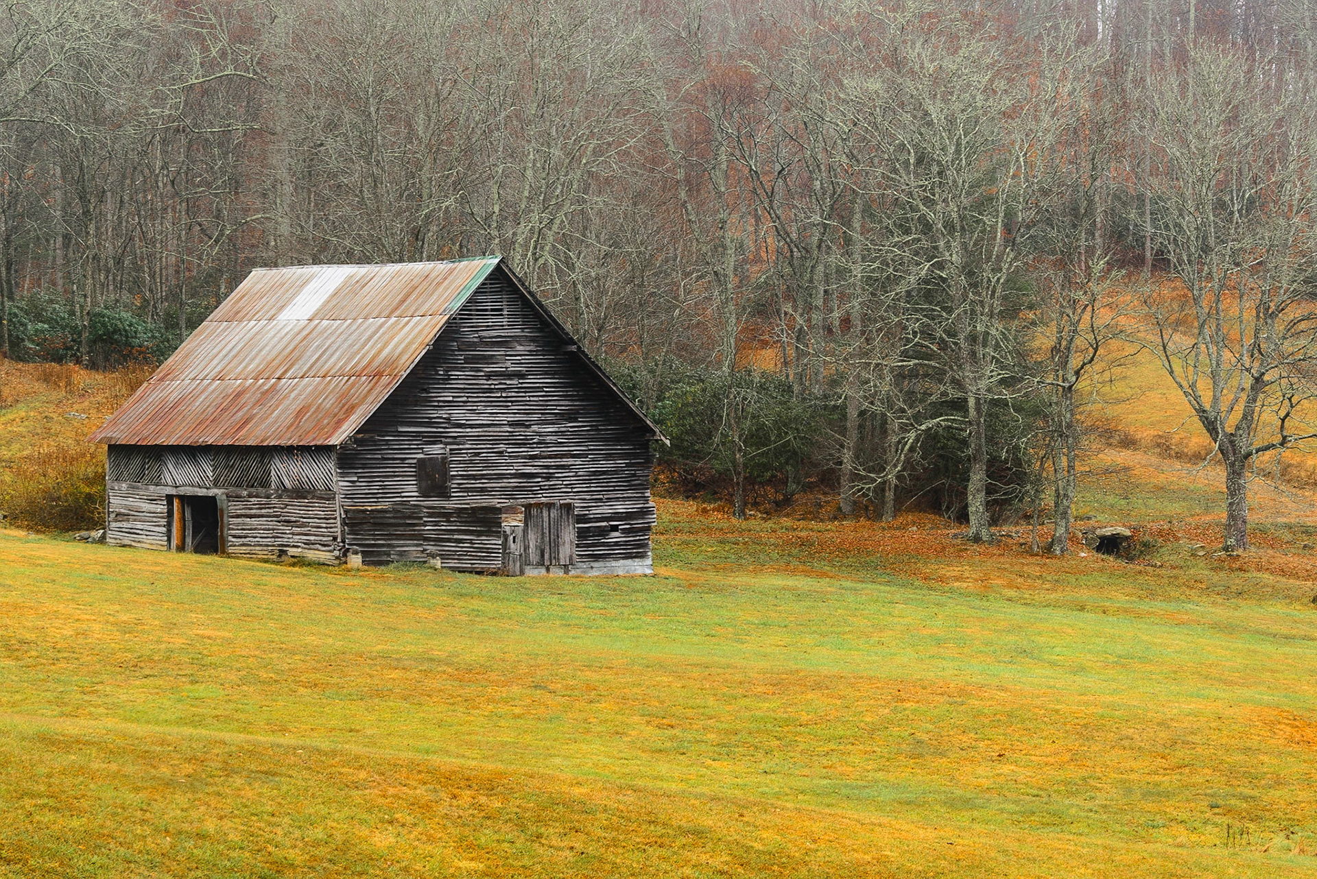 DTGD25555 Scott Carswell Barn