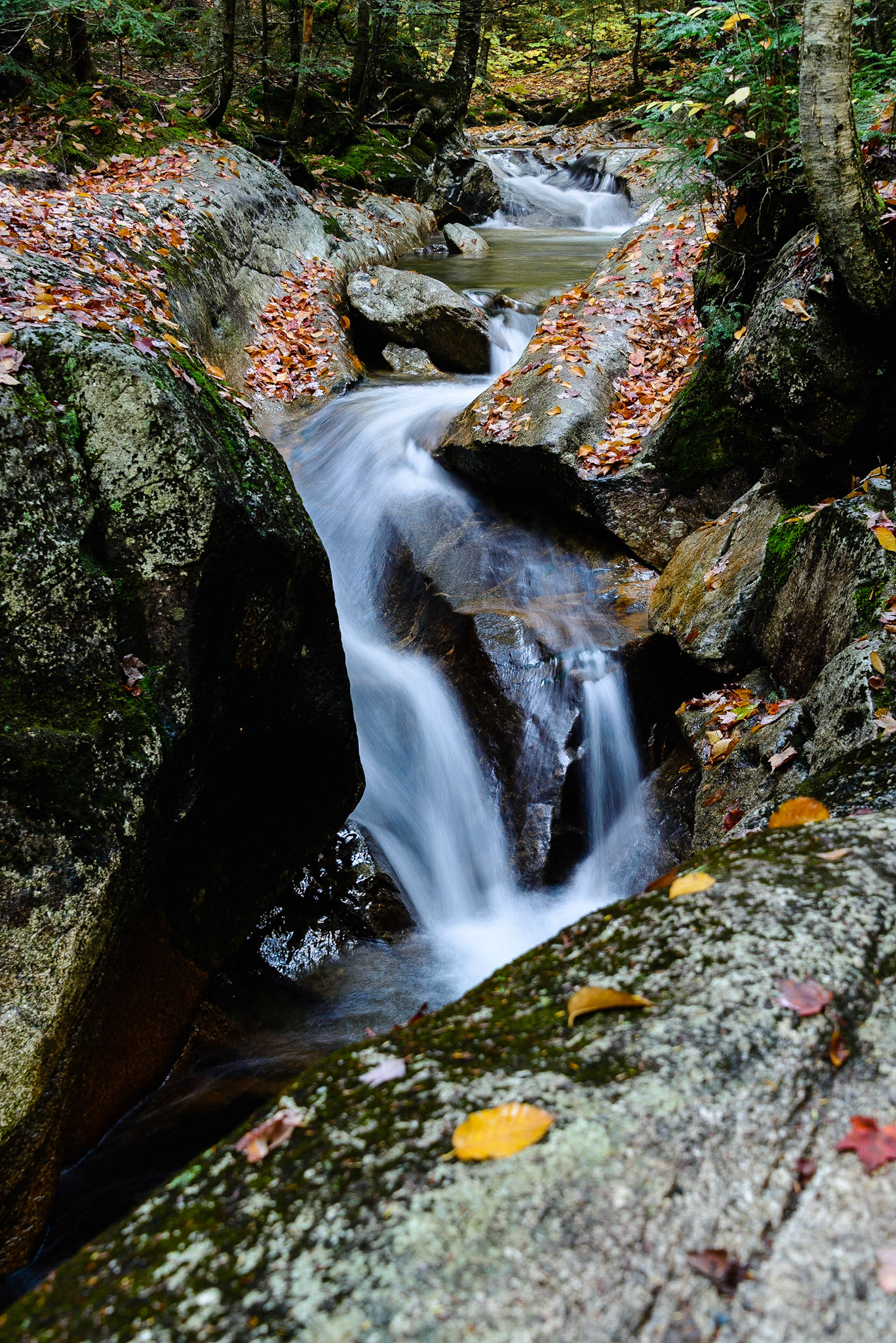 DTGD29818 Pemigewasset River