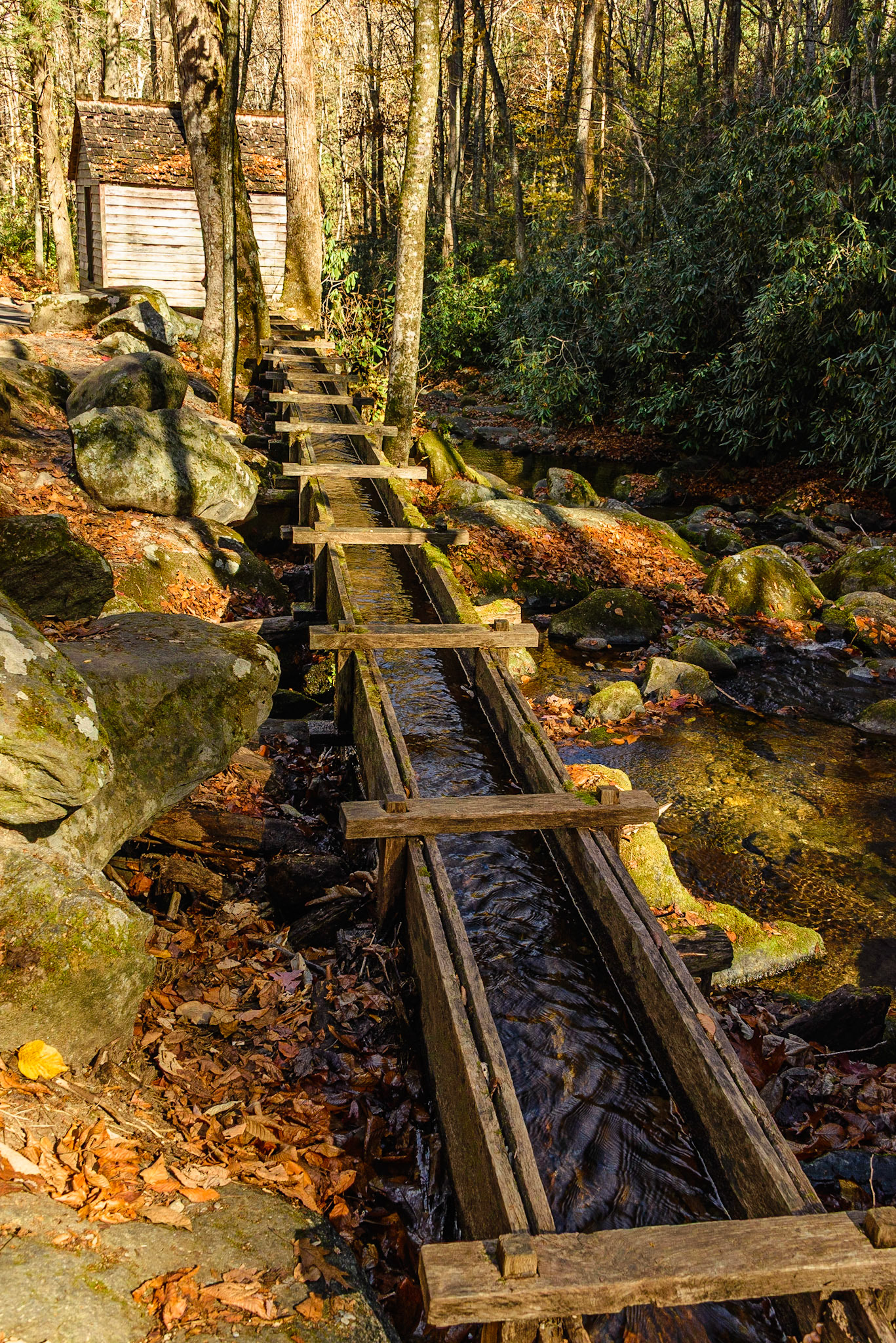 DTGD25354 Reagan Tub Mill