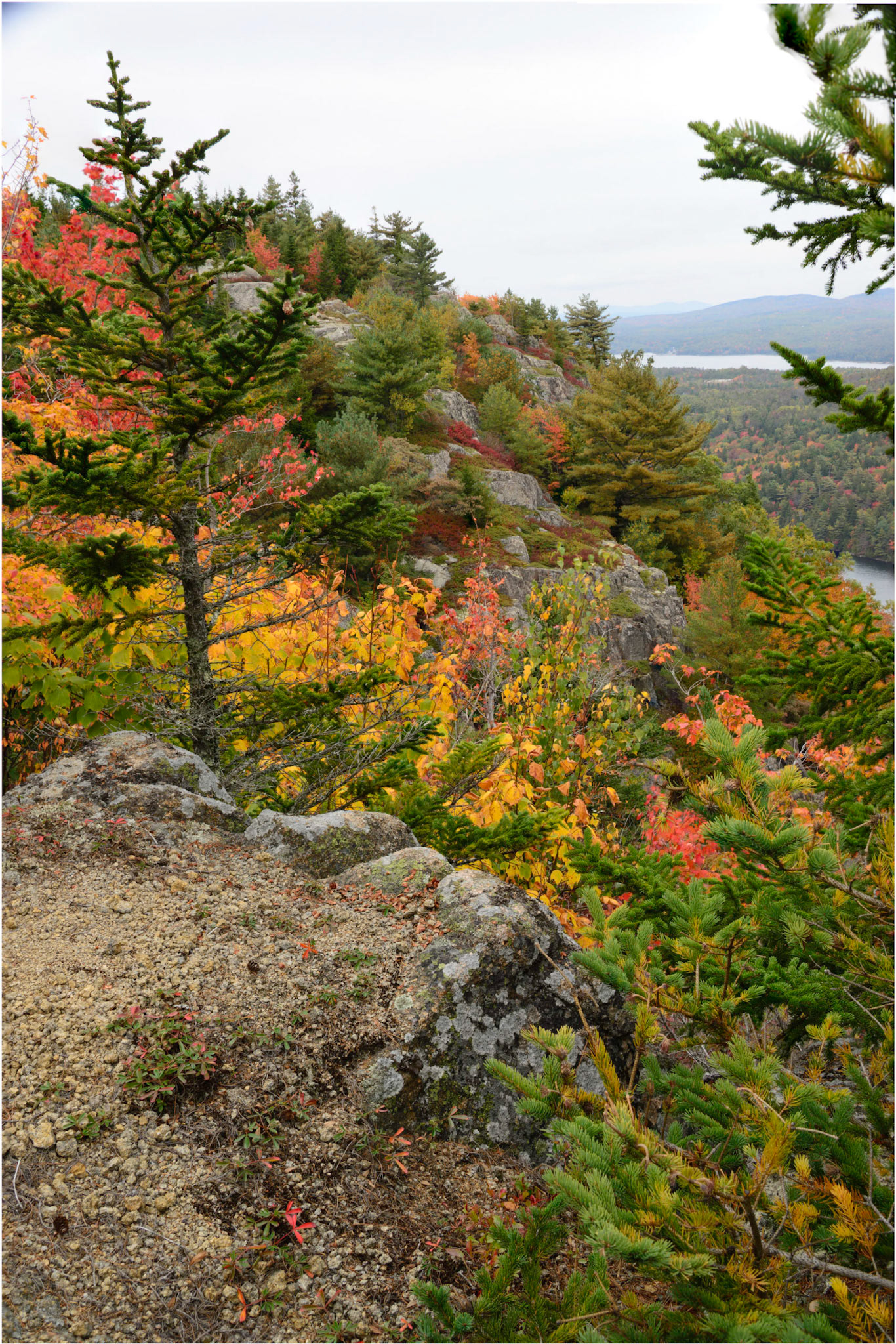DTGD24888 Beech Cliff (stacked)