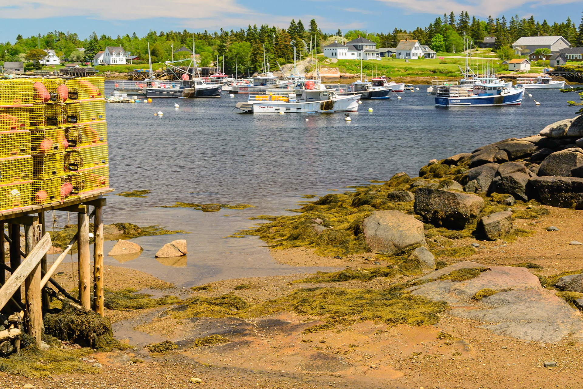 DTGD30974 Corea Harbor