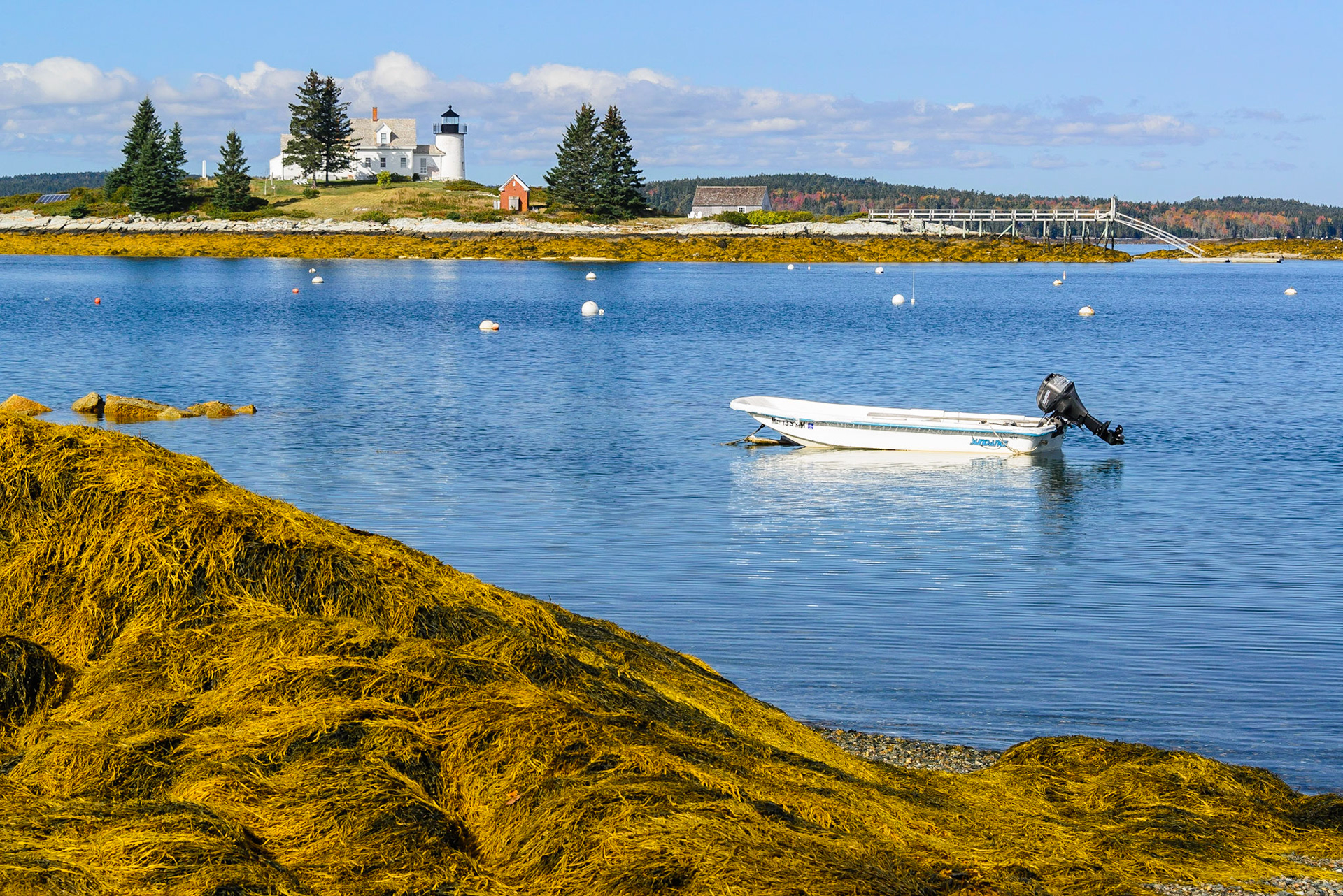 DTGD27058 Pumpkin Island Light