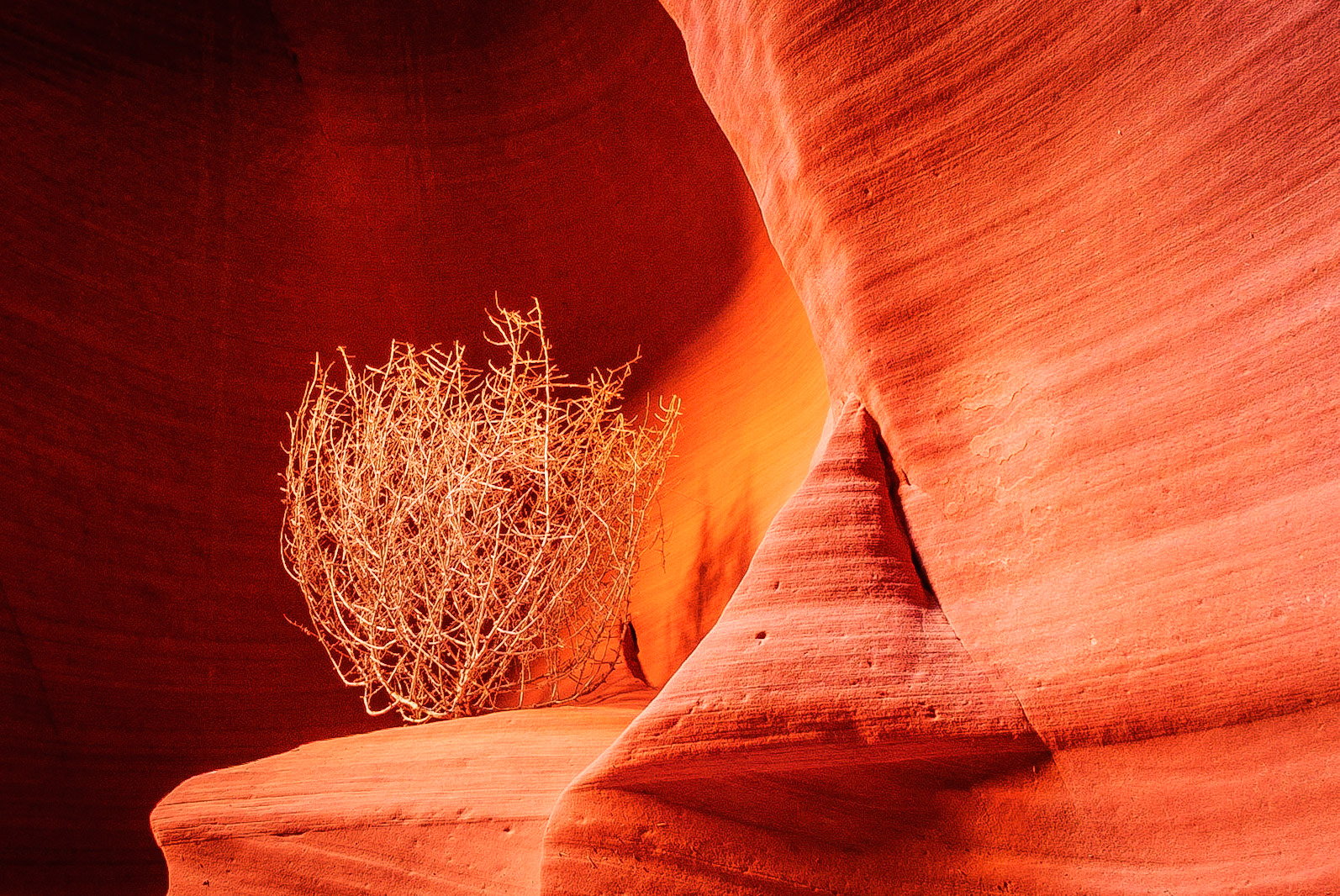 DTGD11557 Canyon X, Page, AZ