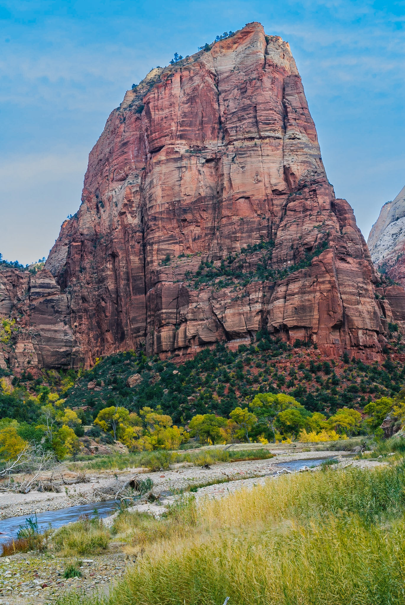 DTGD11082 Zion National Park