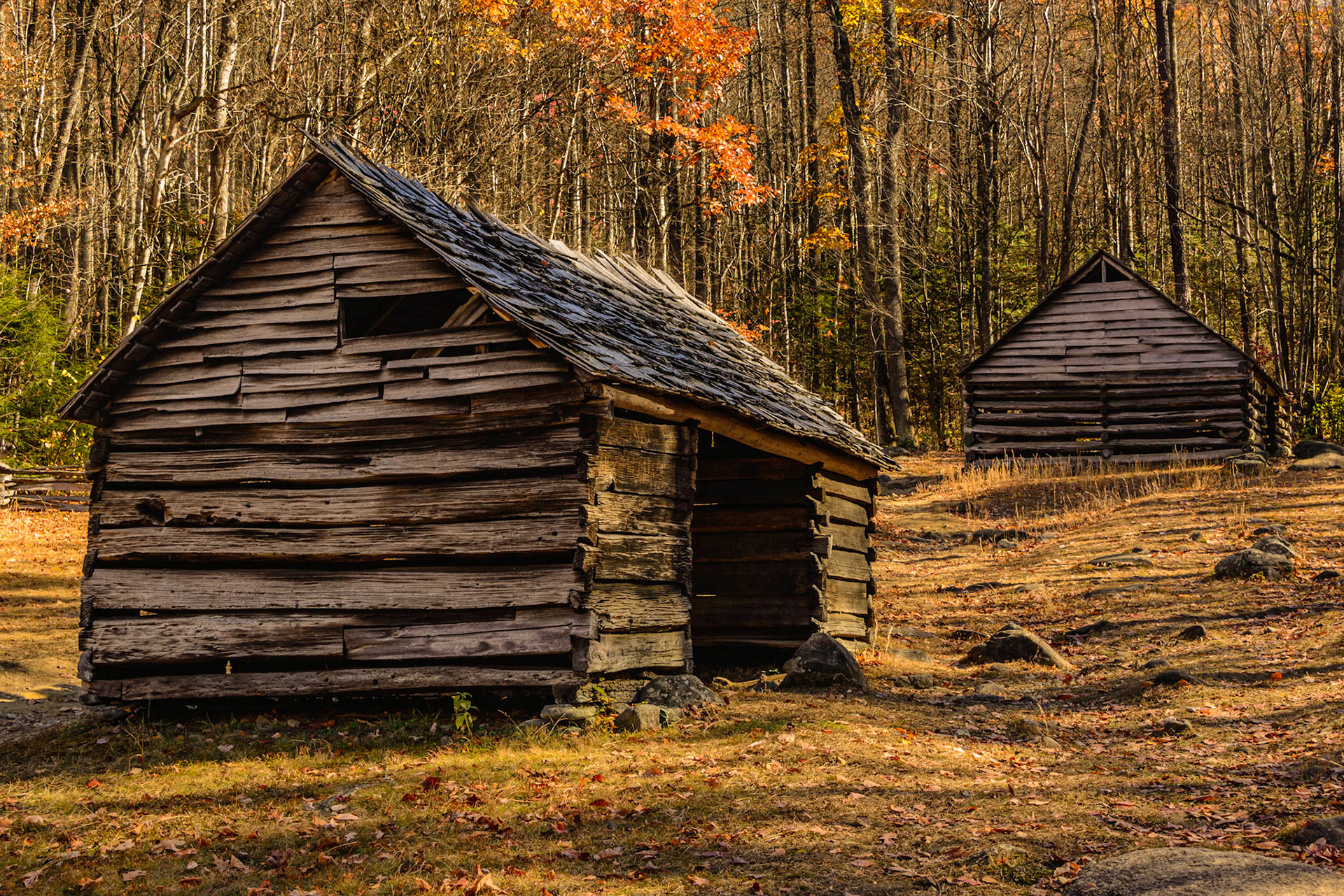 DTGD25321 Alex Cole Cabin Farm