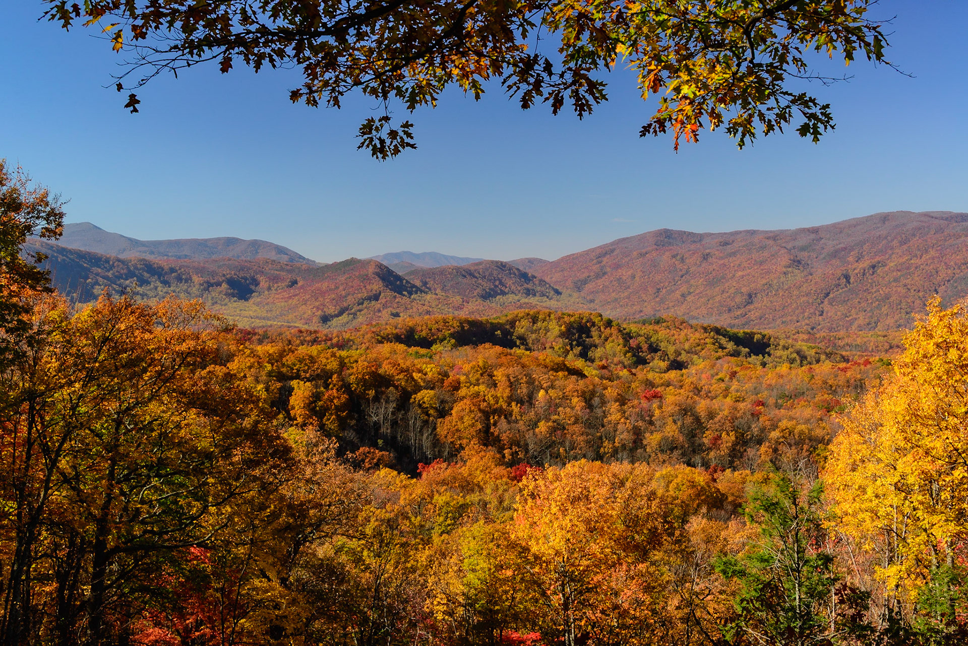 DTGD25313 Smoky Mountains