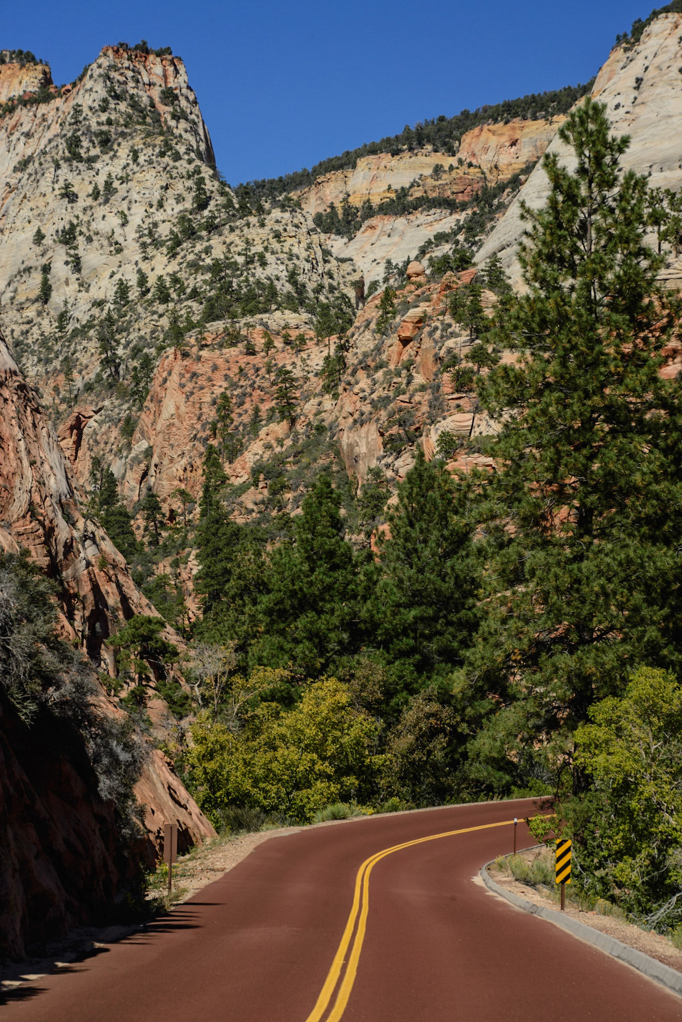 DTGD22280 Driving into Zion Nat'l Park