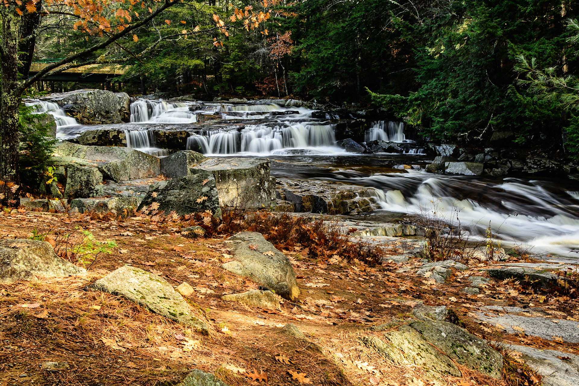 DTGD25292 Jackson Falls, Fall