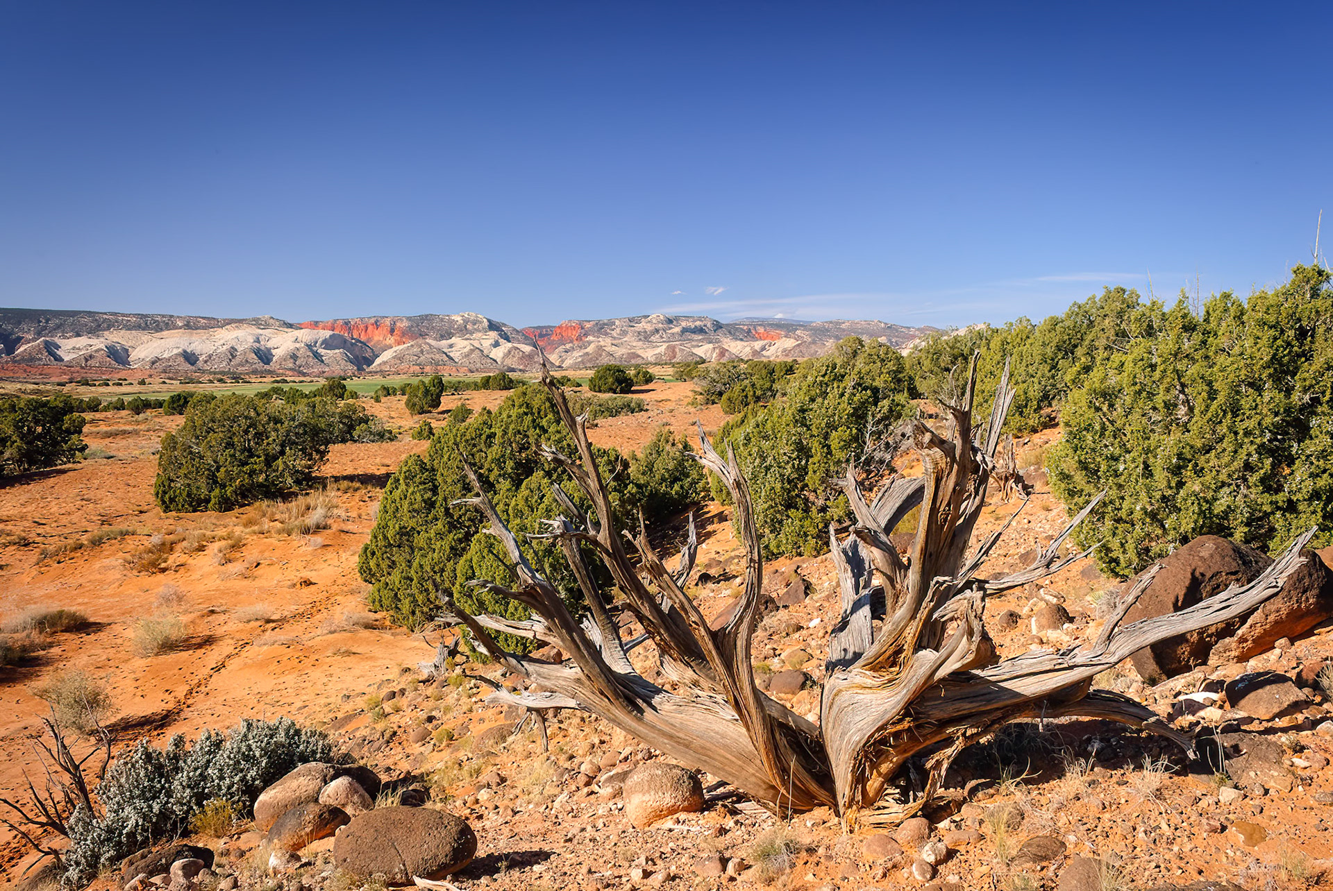 DTGD10001 Looking at Capital Reef Nat'l Park from Notom road, UT