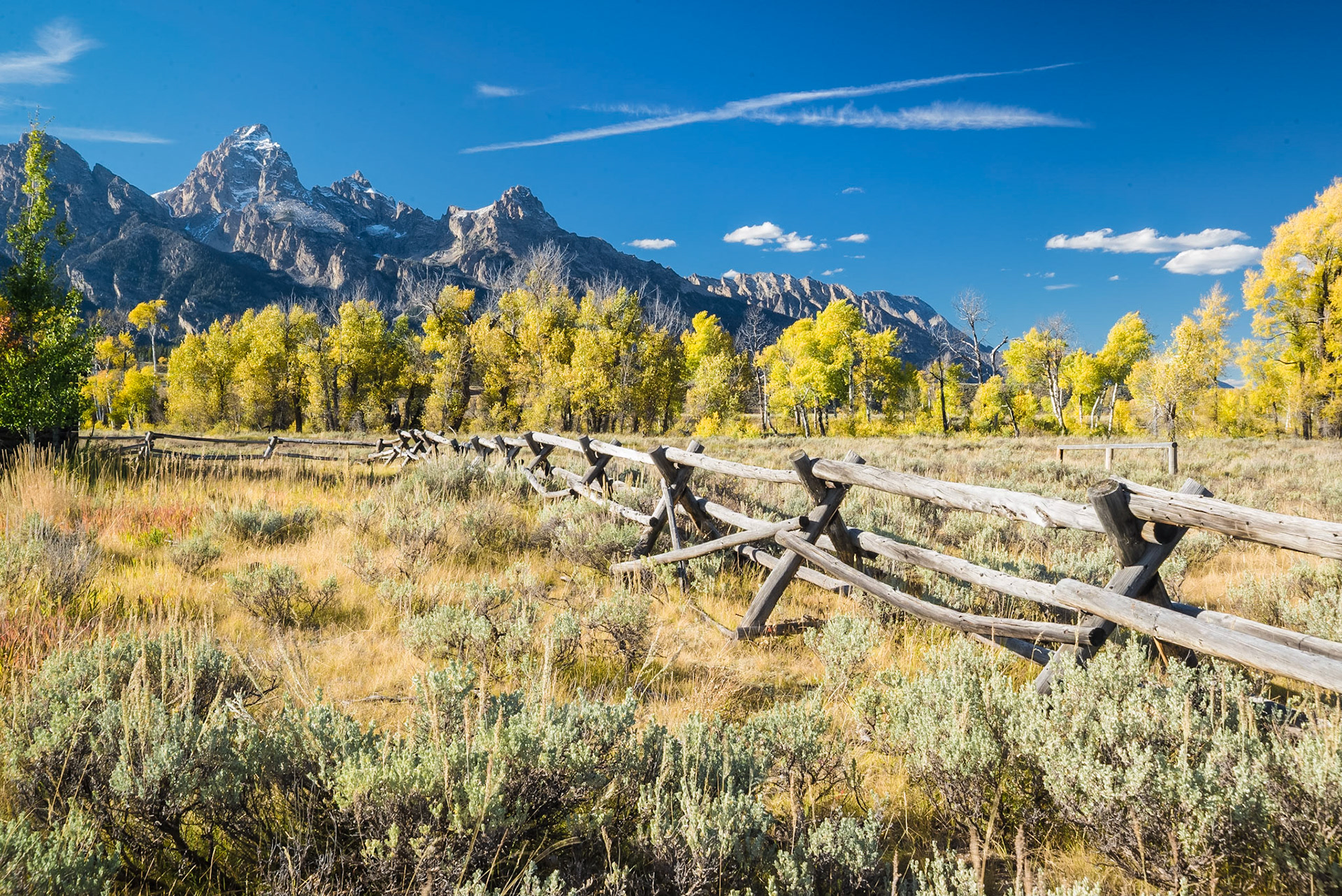 DTGD21069 Old Rail Fence in the Park