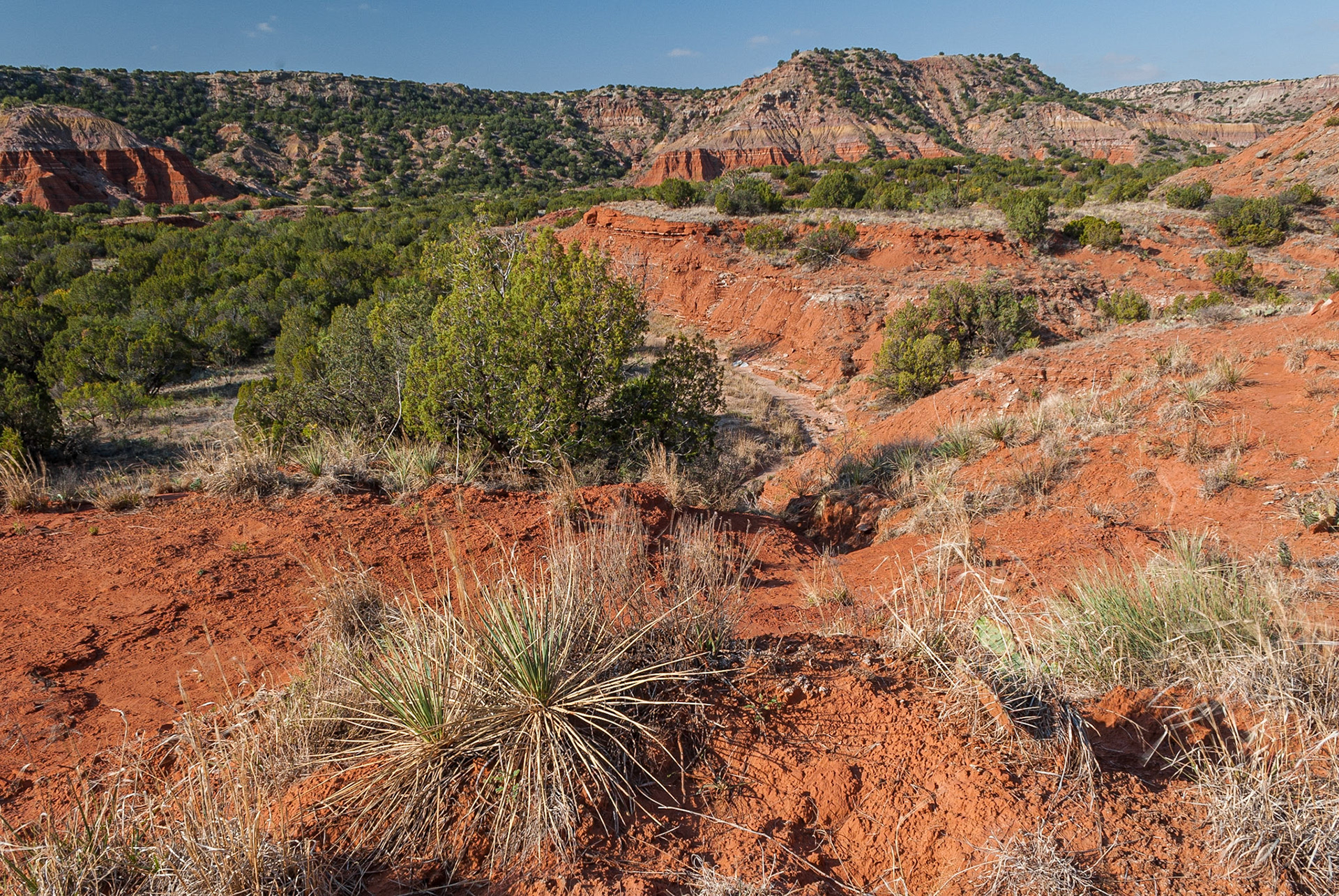 DTGD08792 Palo Doro Canyon