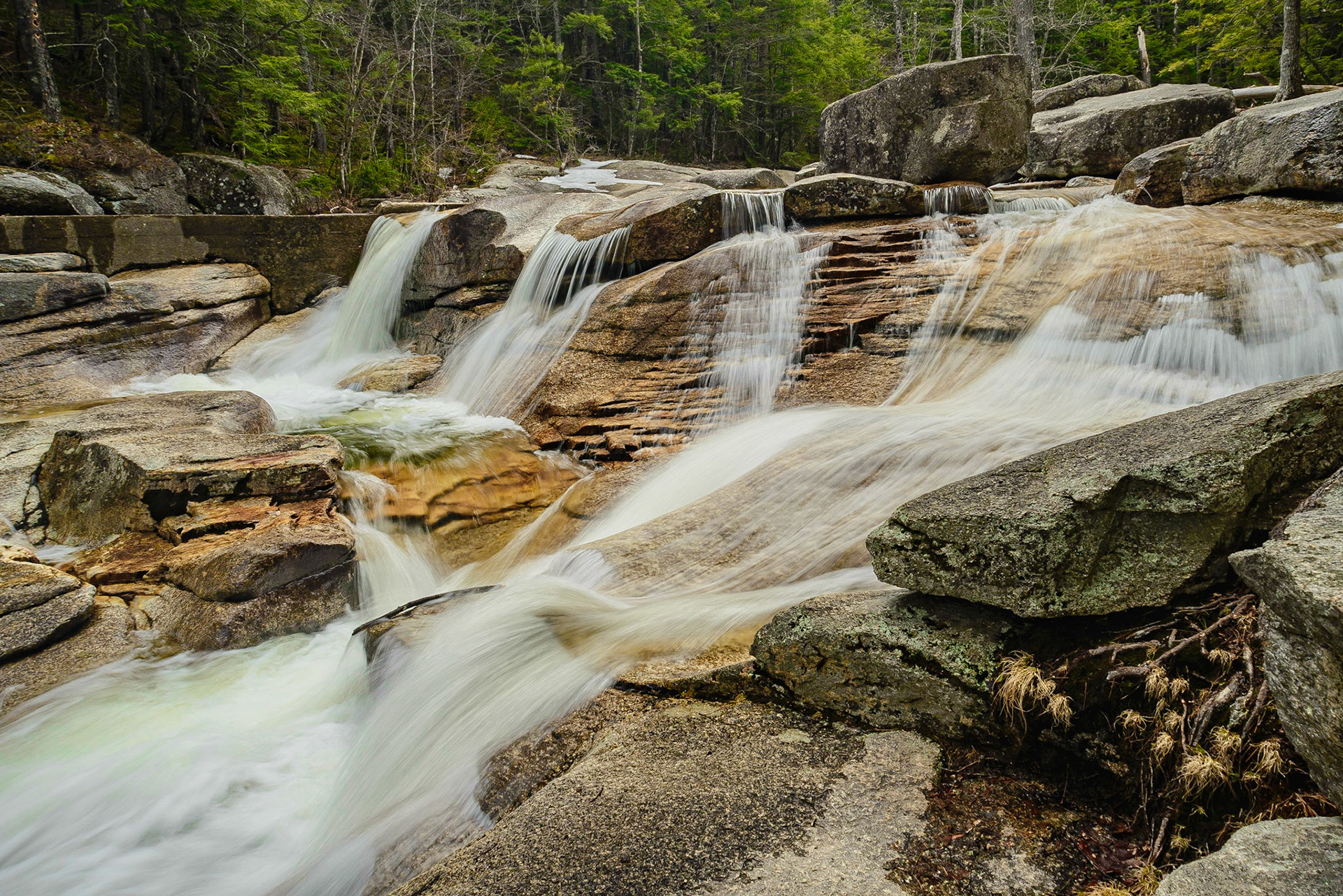 DTGD14668 Diana's Baths